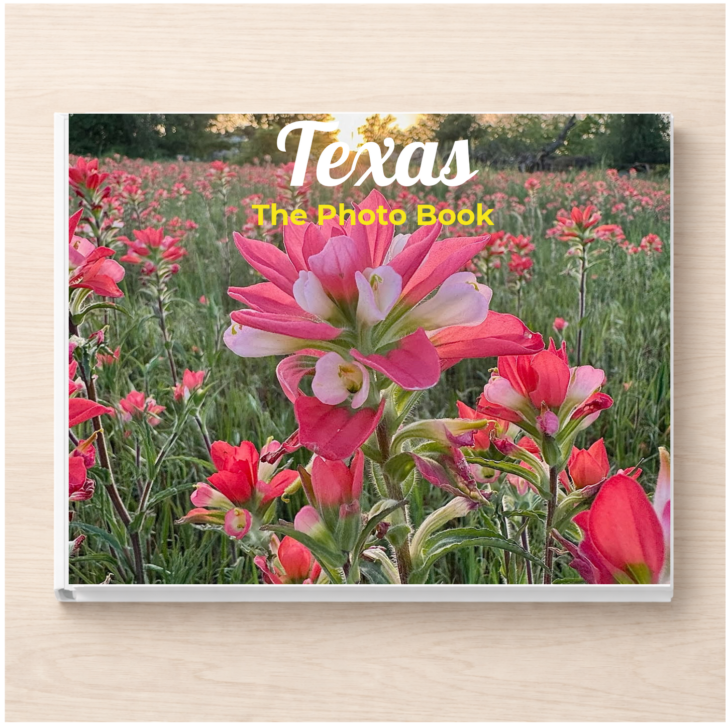 Texas: The Photo Book