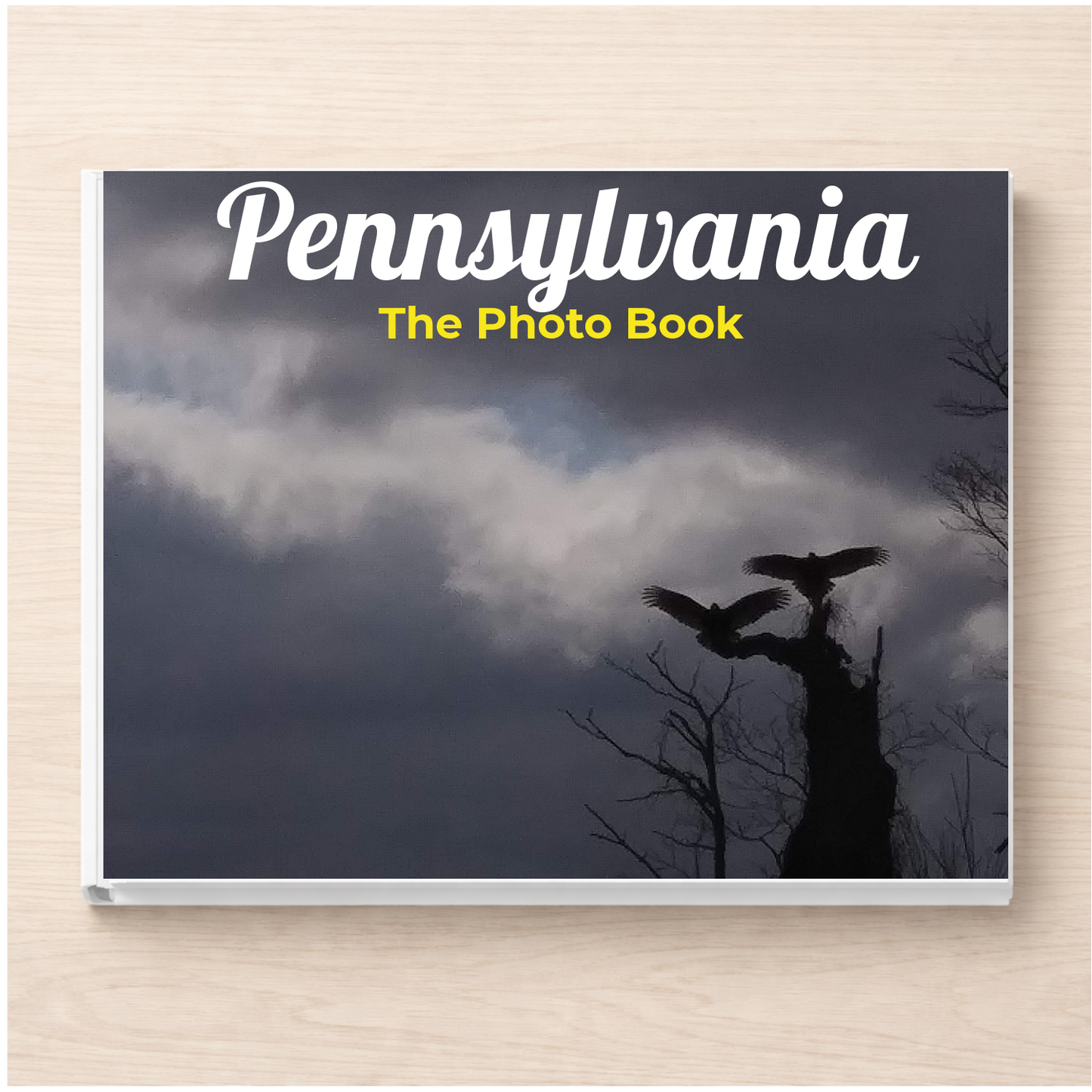 Pennsylvania: The Photo Book