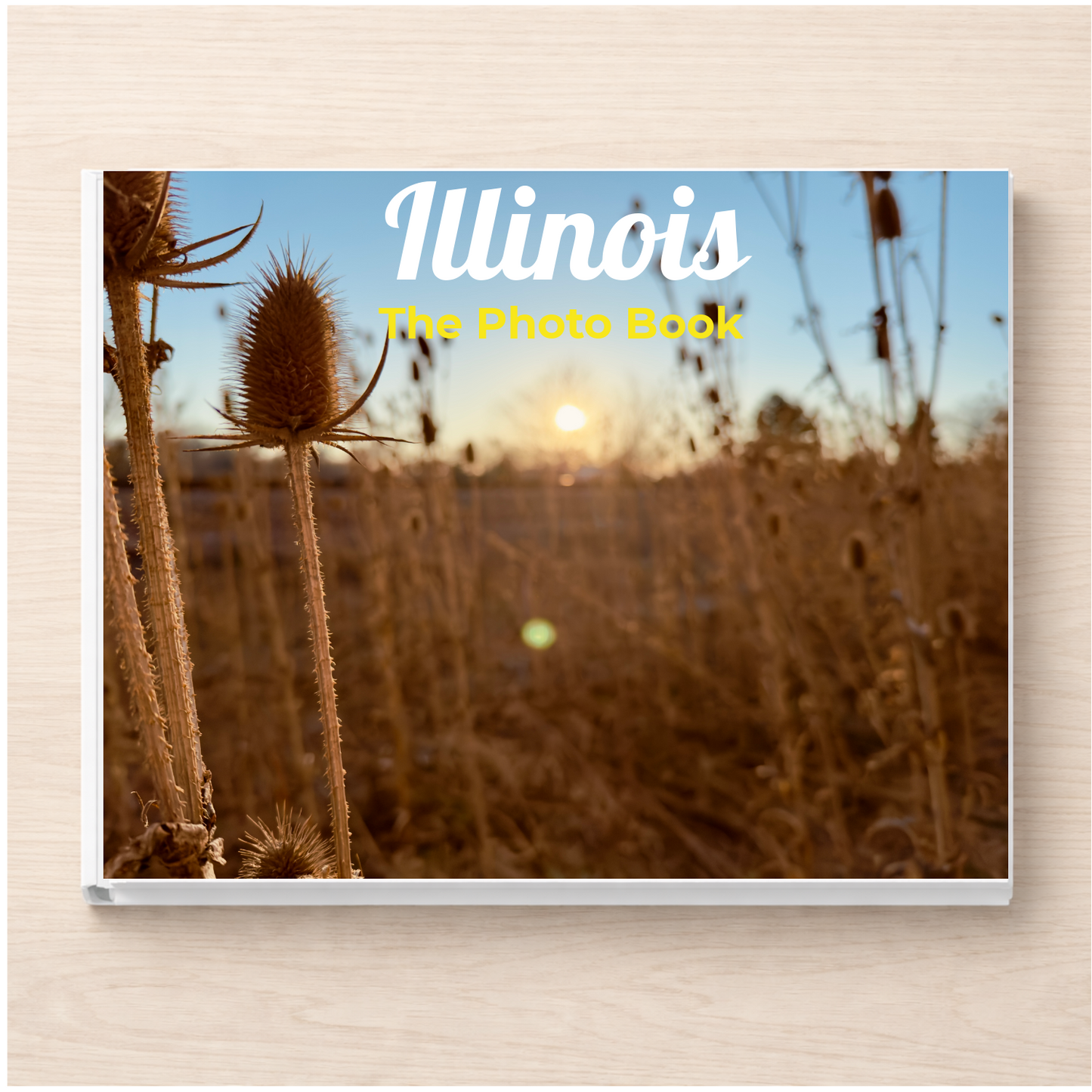 Illinois: The Photo Book