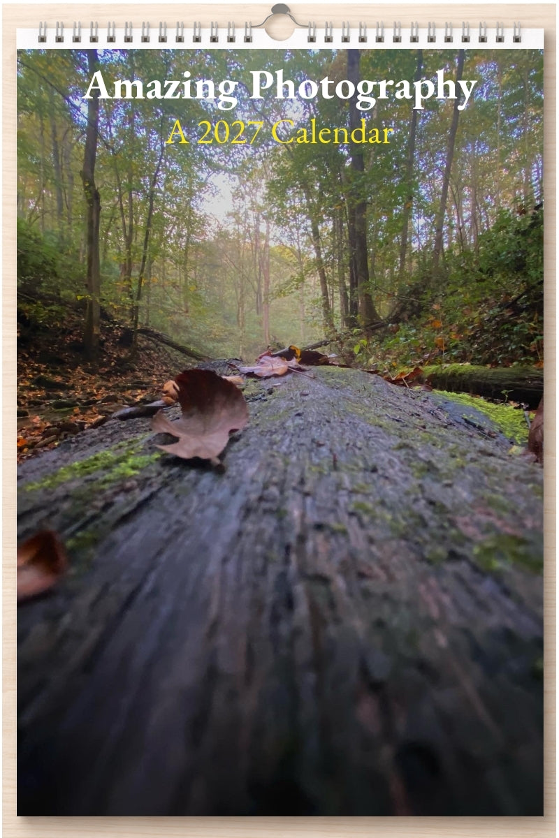 Amazing Photography: A 2027 Calendar