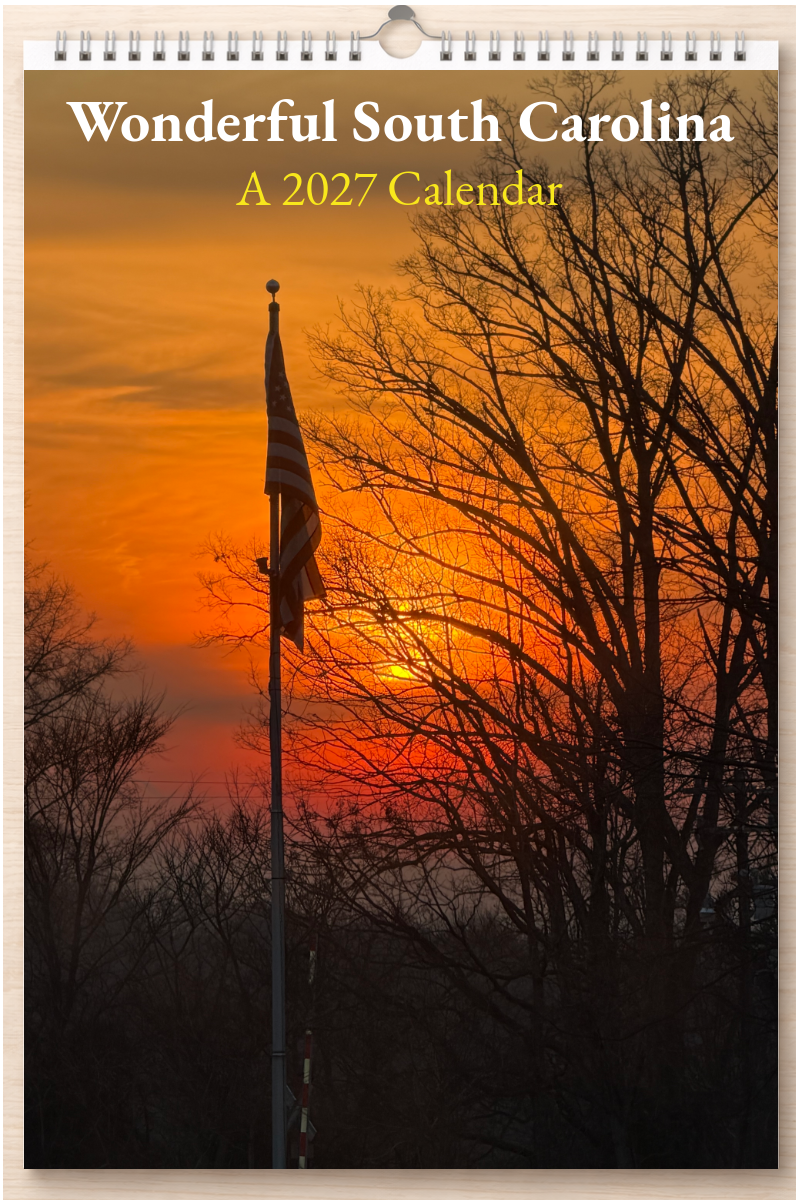 Wonderful South Carolina: A 2027 Calendar