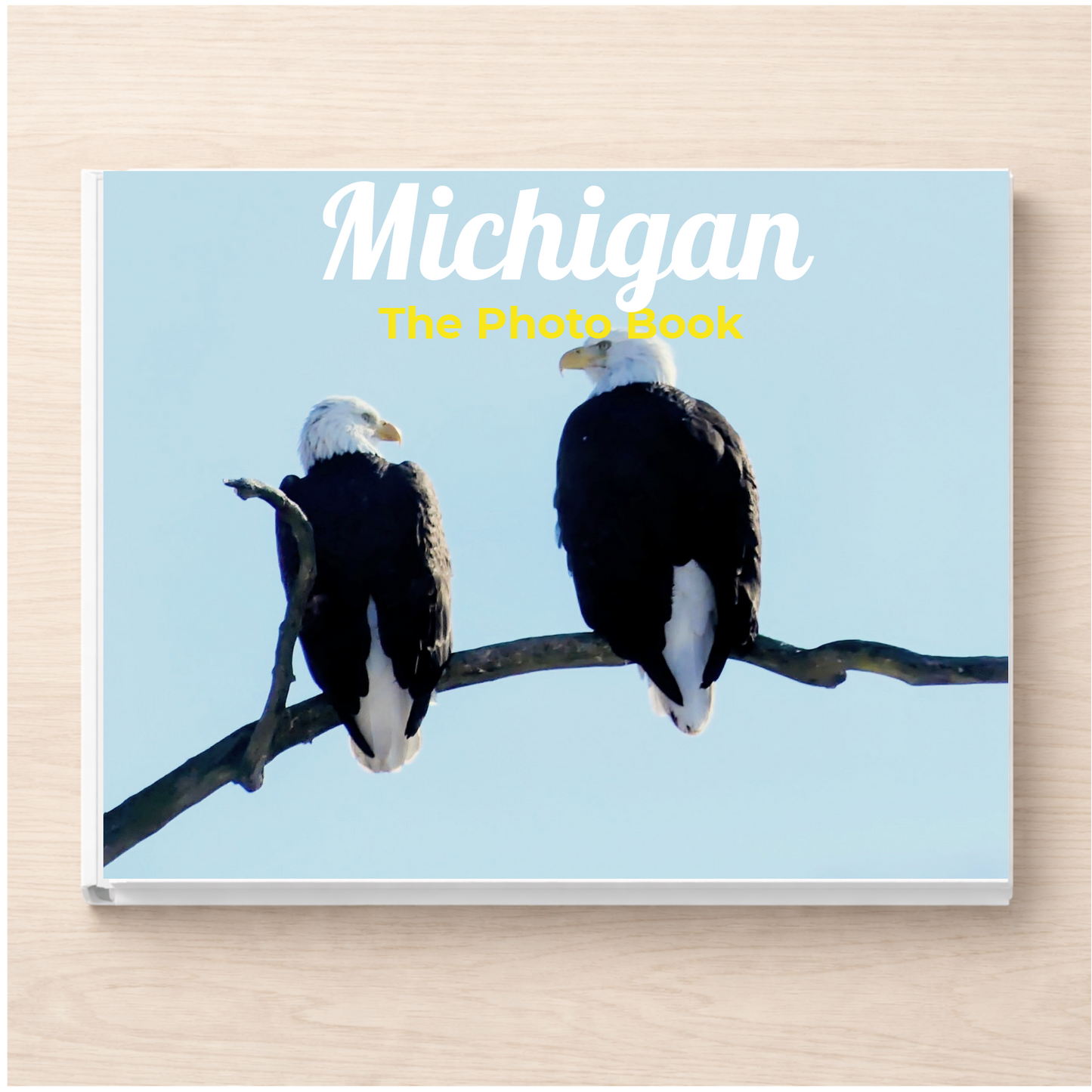 Michigan: The Photo Book