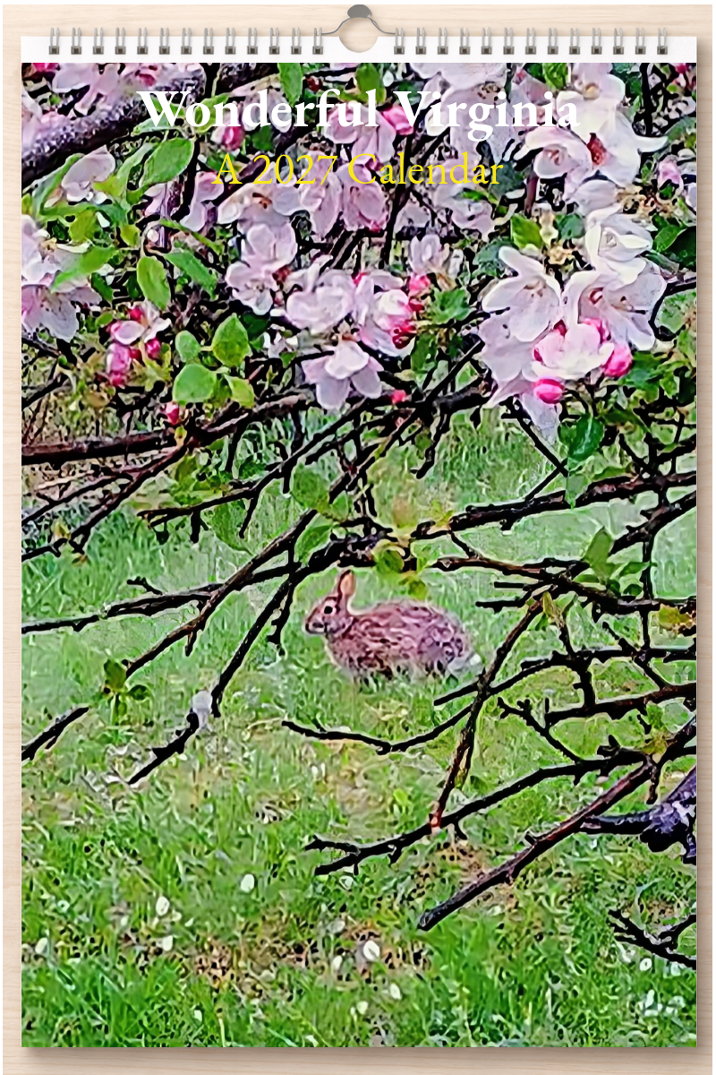 Wonderful Virginia: A 2027 Calendar