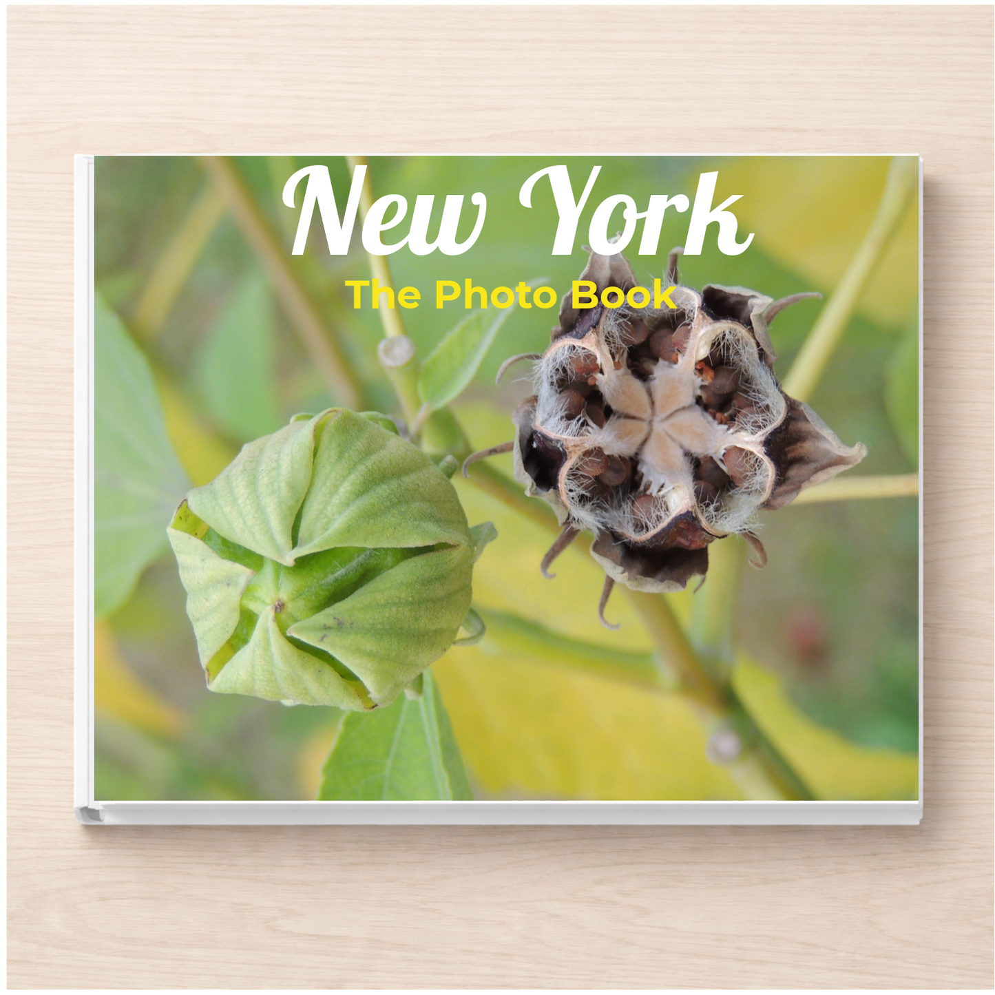 New York: The Photo Book