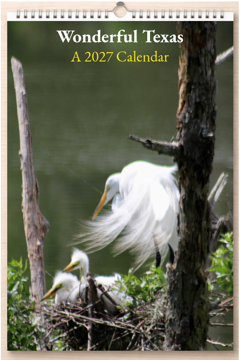 Wonderful Texas: A 2027 Calendar
