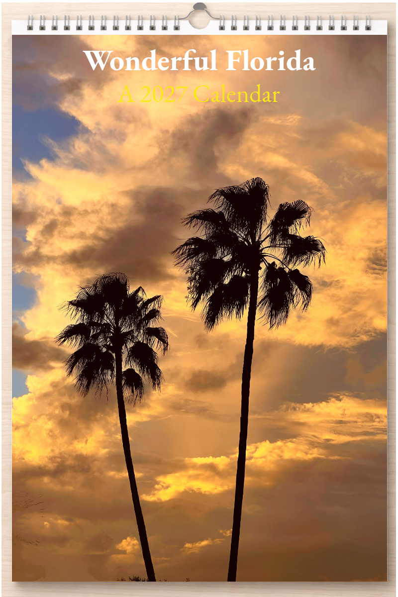 Wonderful Florida: A 2027 Calendar