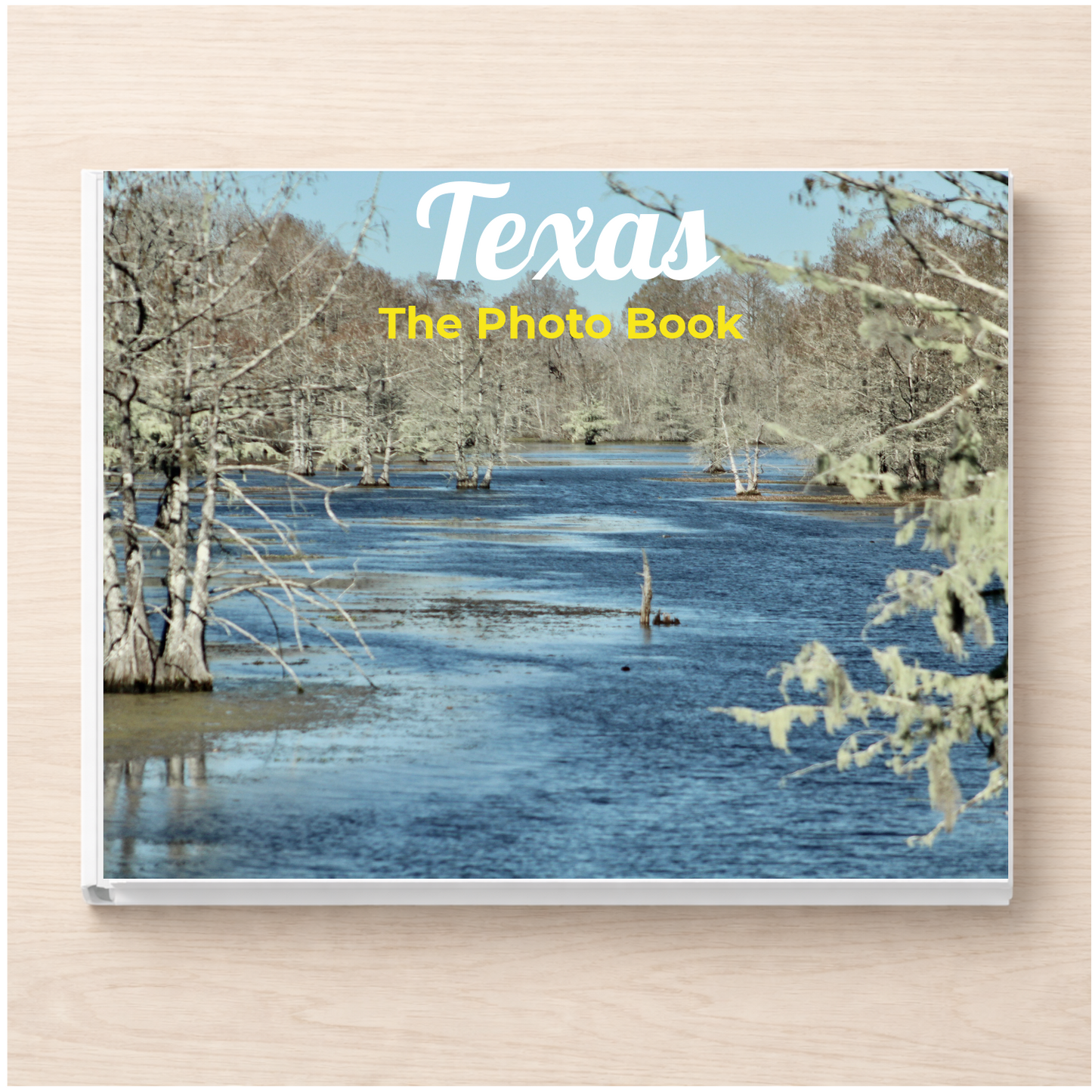Texas: The Photo Book