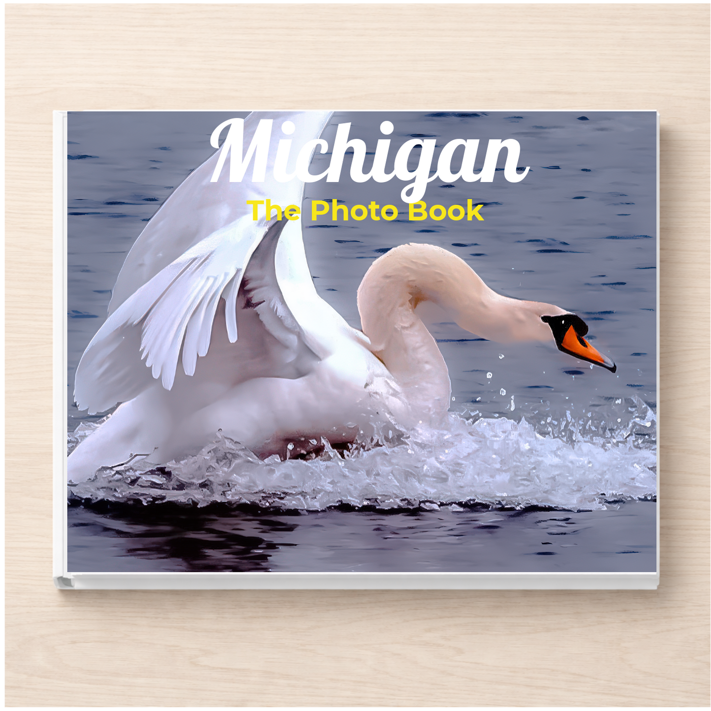 Michigan: The Photo Book