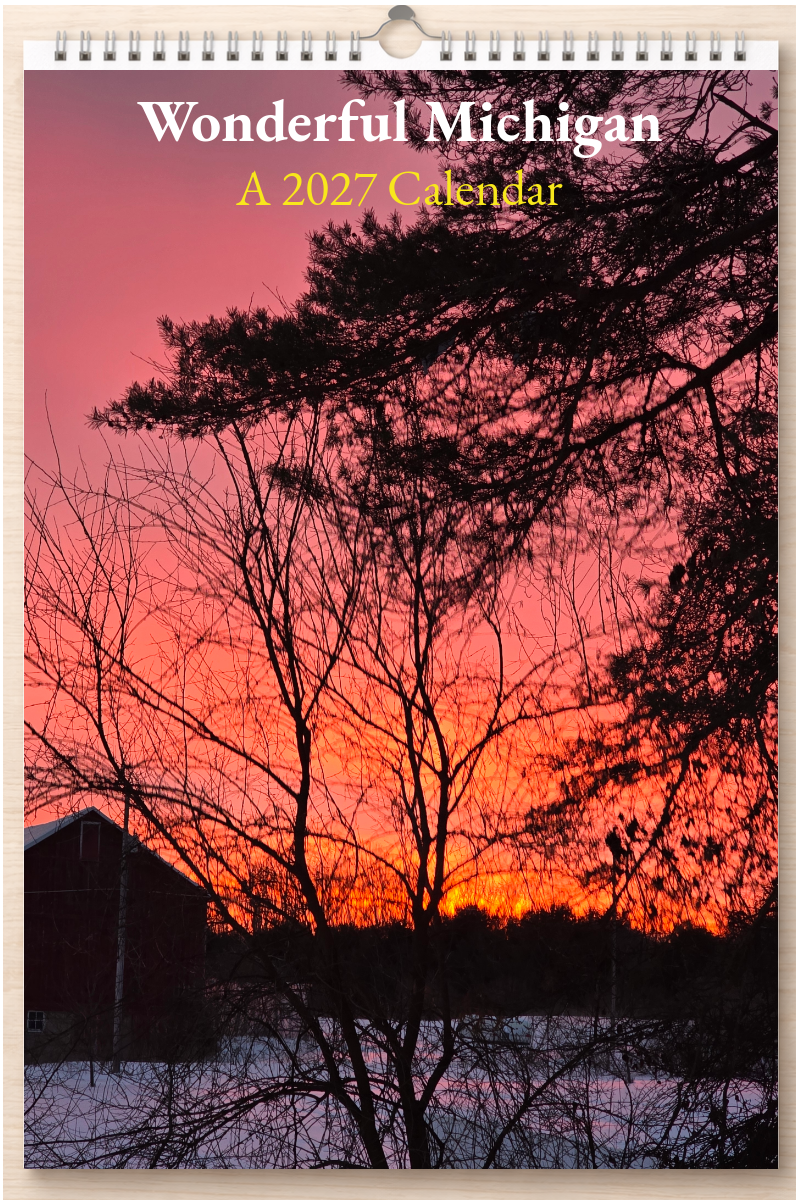 Wonderful Michigan: A 2027 Calendar