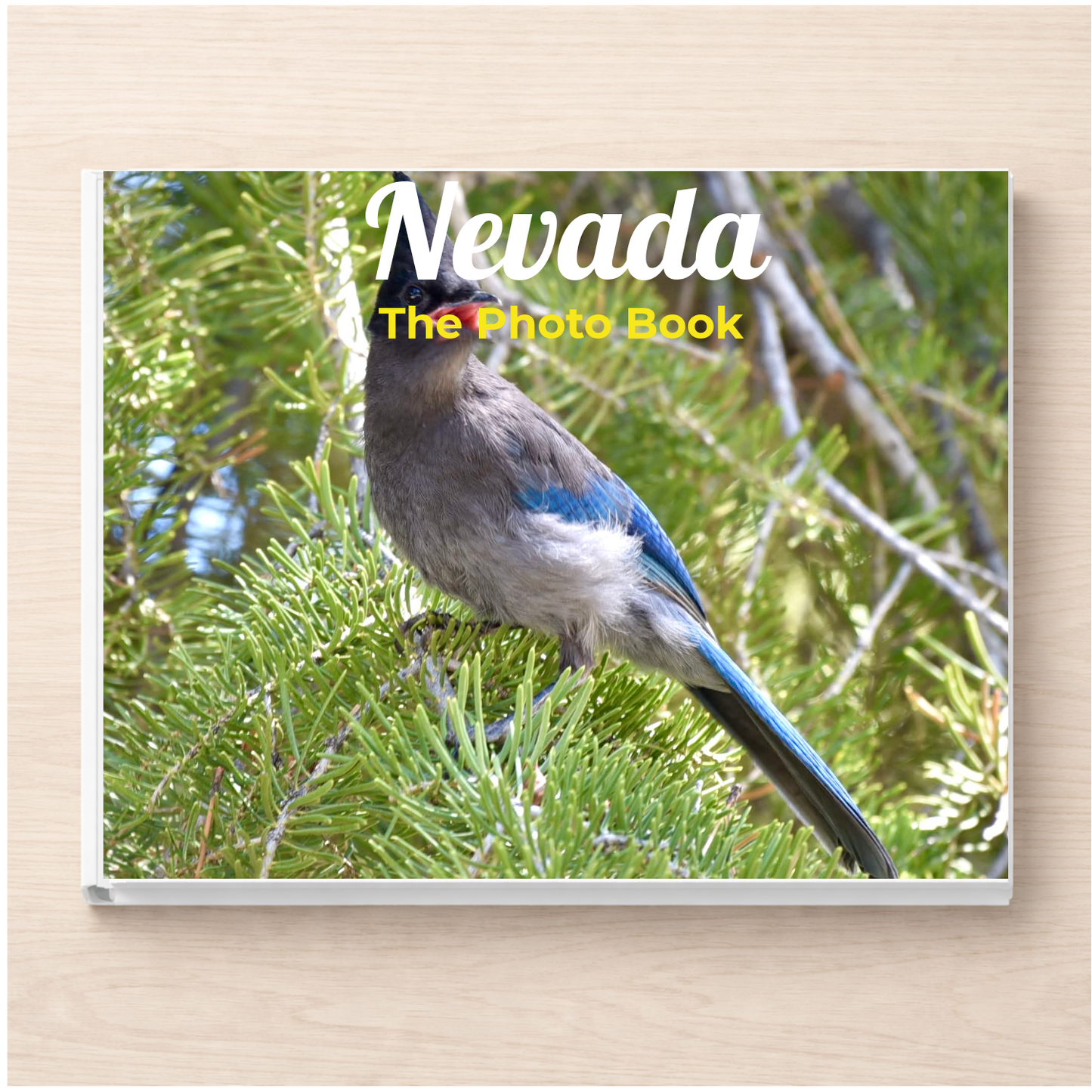 Nevada: The Photo Book