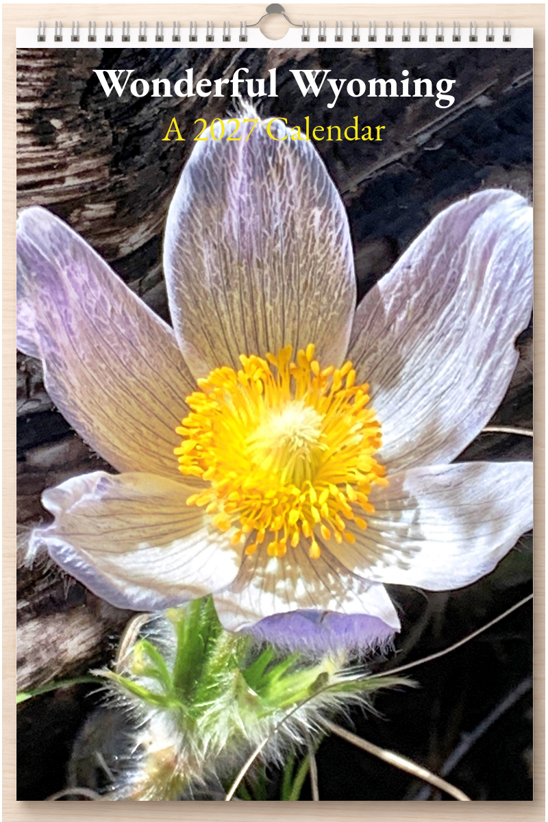 Wonderful Wyoming: A 2027 Calendar