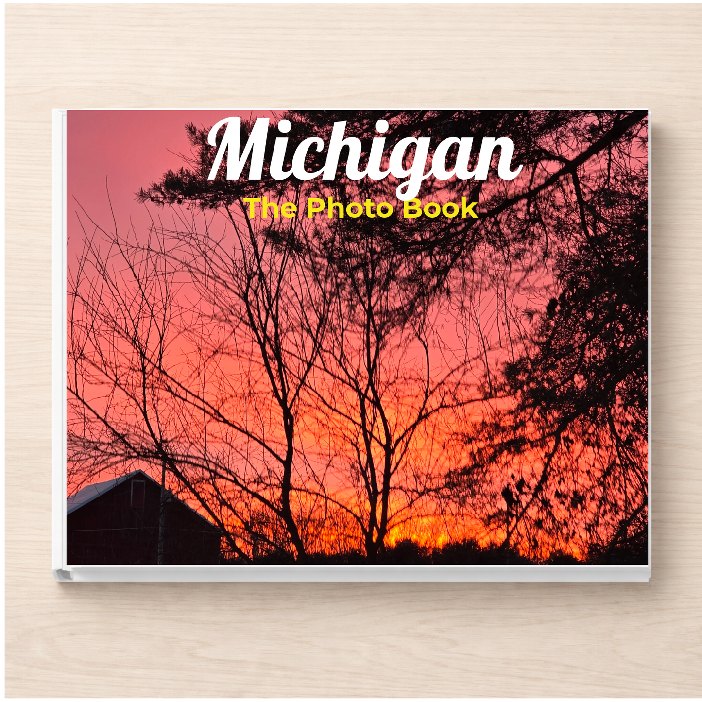 Michigan: The Photo Book