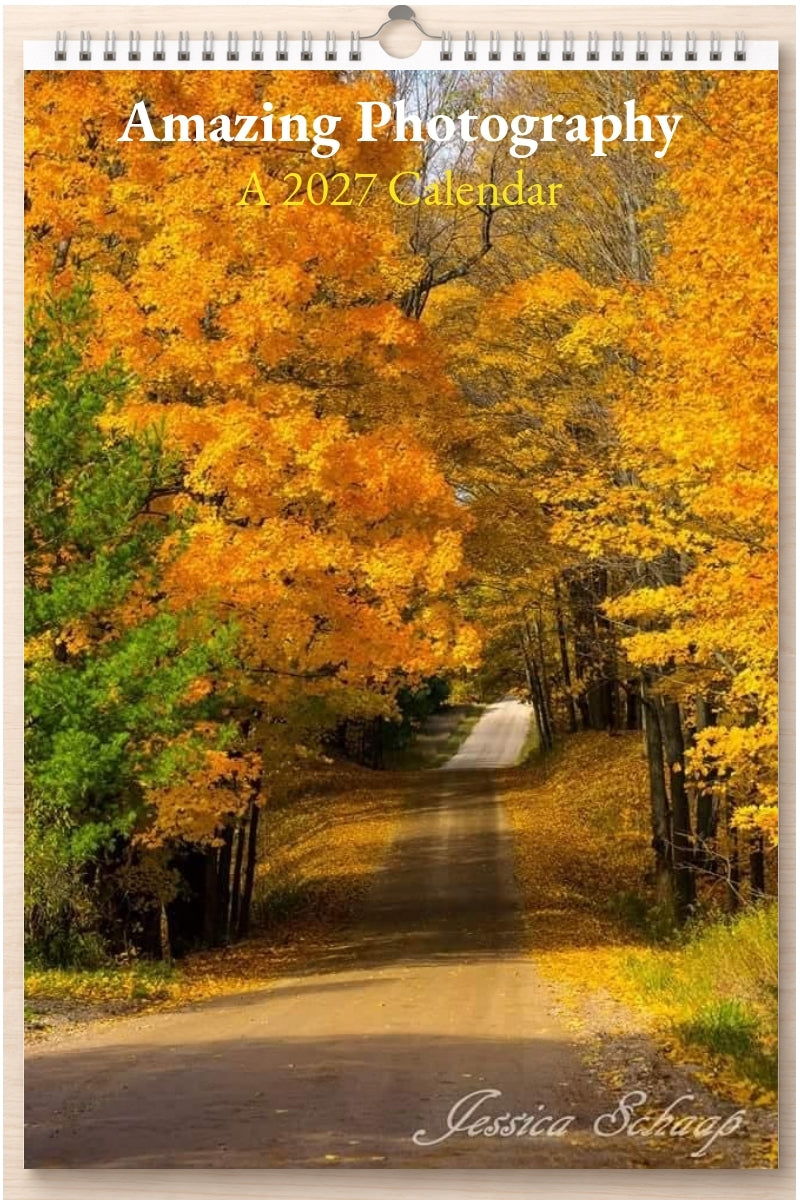 Amazing Photography: A 2027 Calendar