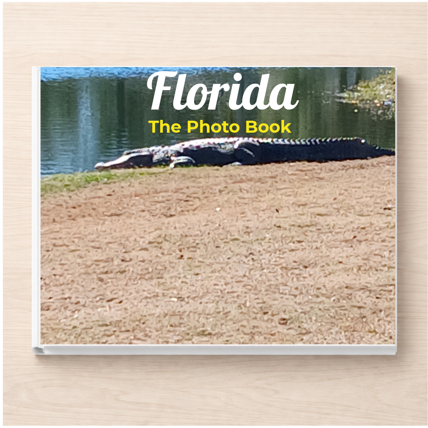 Florida: The Photo Book