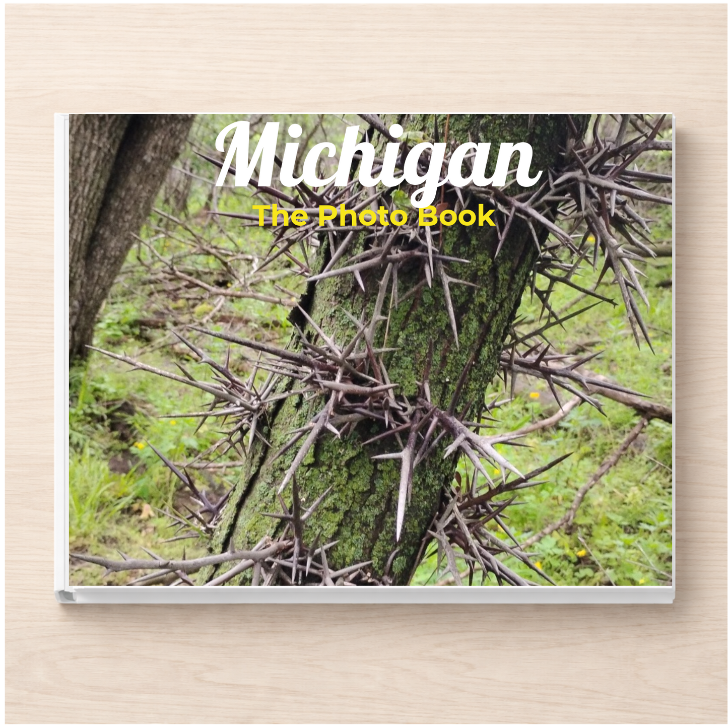 Michigan: The Photo Book