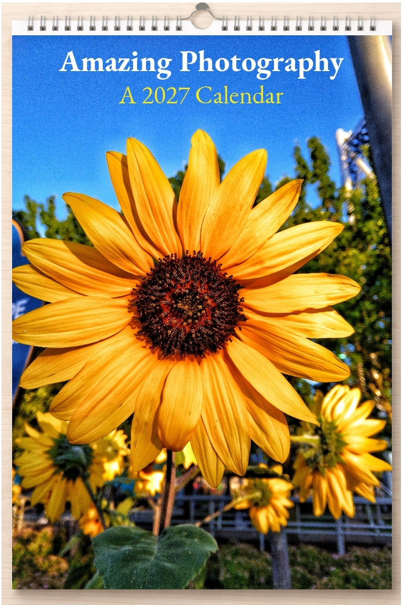 Amazing Photography: A 2027 Calendar