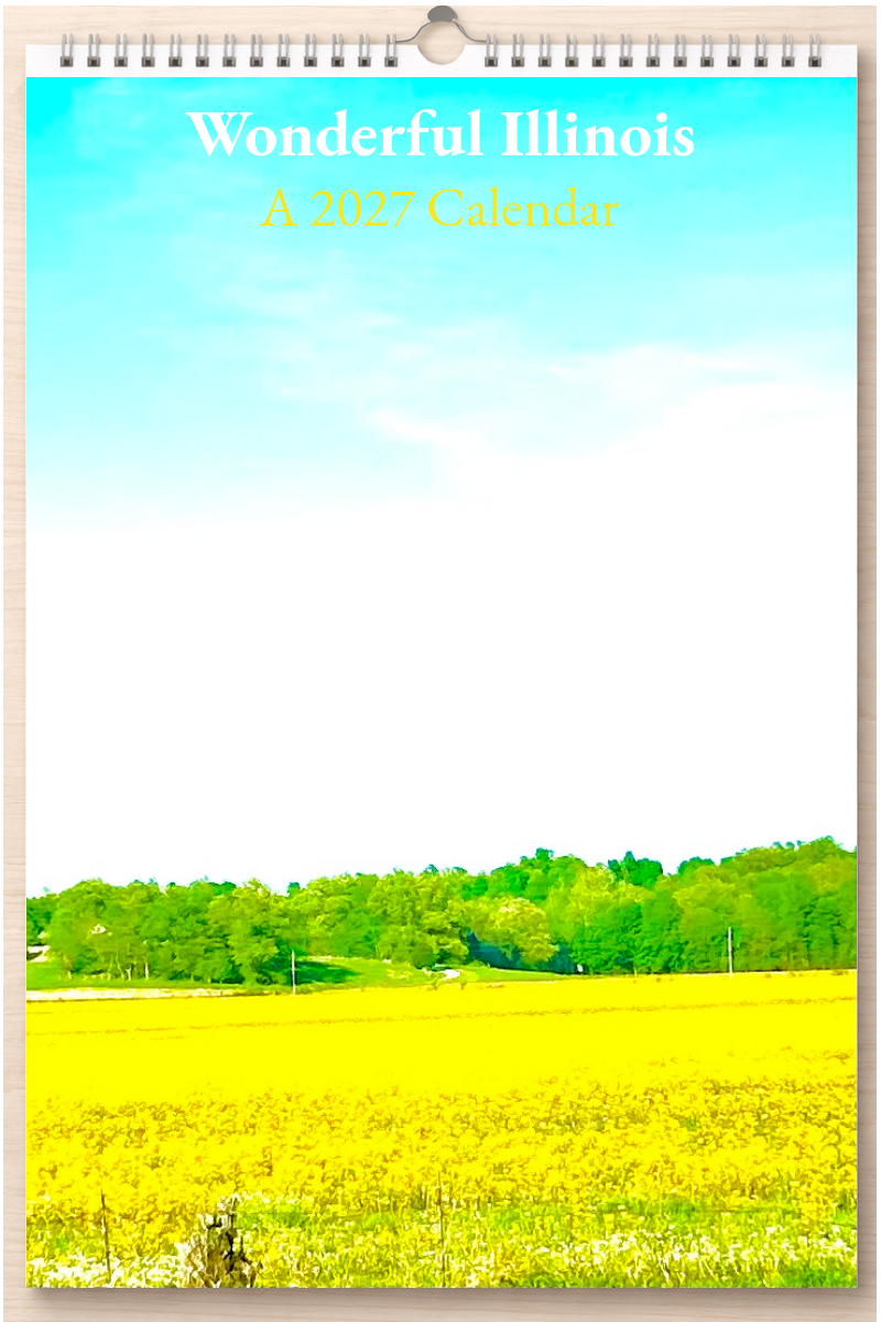 Wonderful Illinois: A 2027 Calendar
