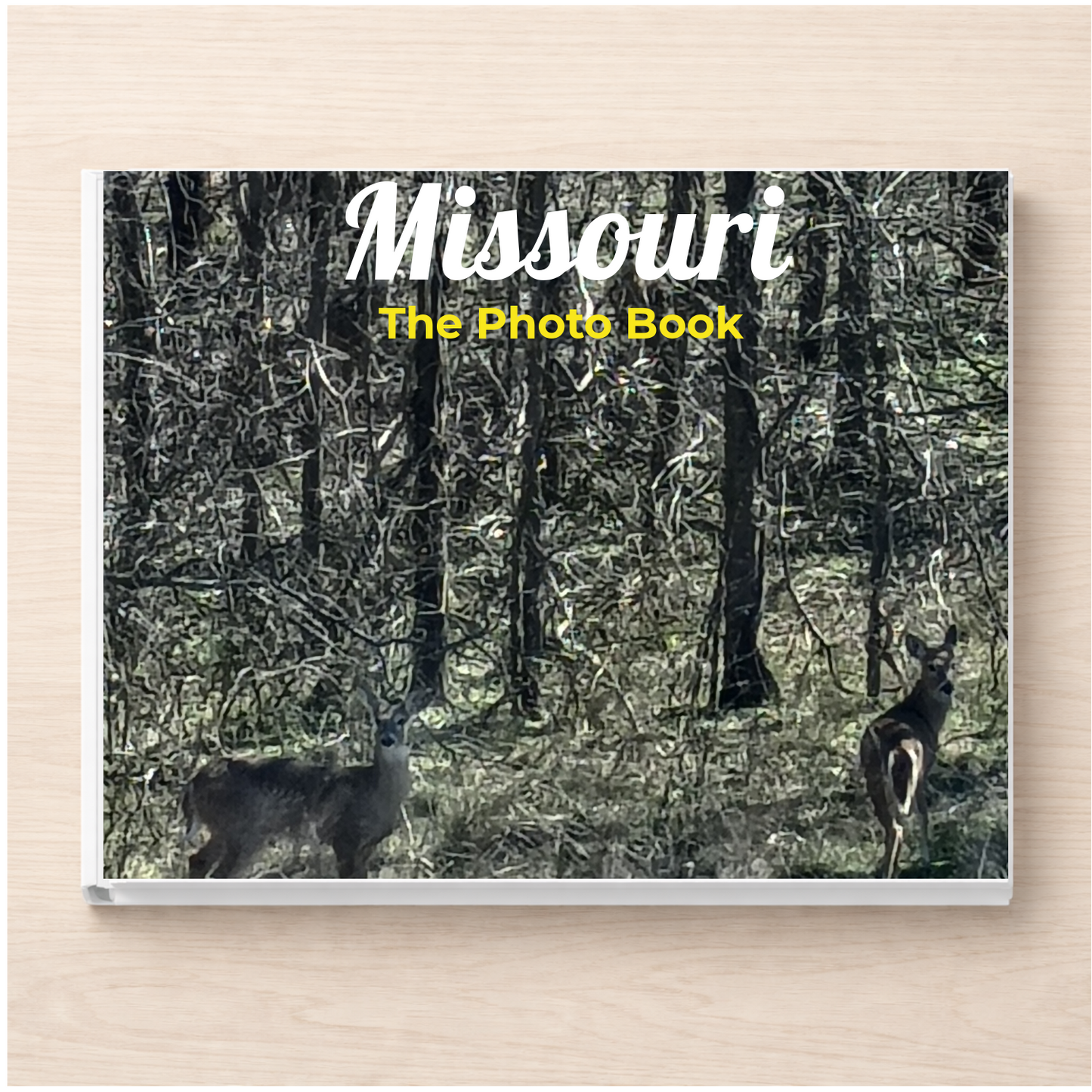 Missouri: The Photo Book