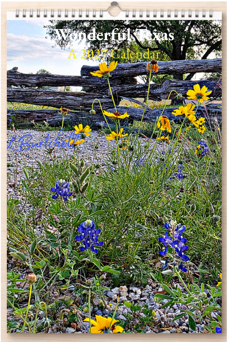 Wonderful Texas: A 2027 Calendar