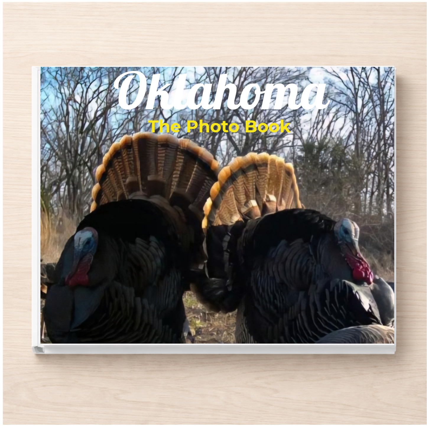 Oklahoma: The Photo Book