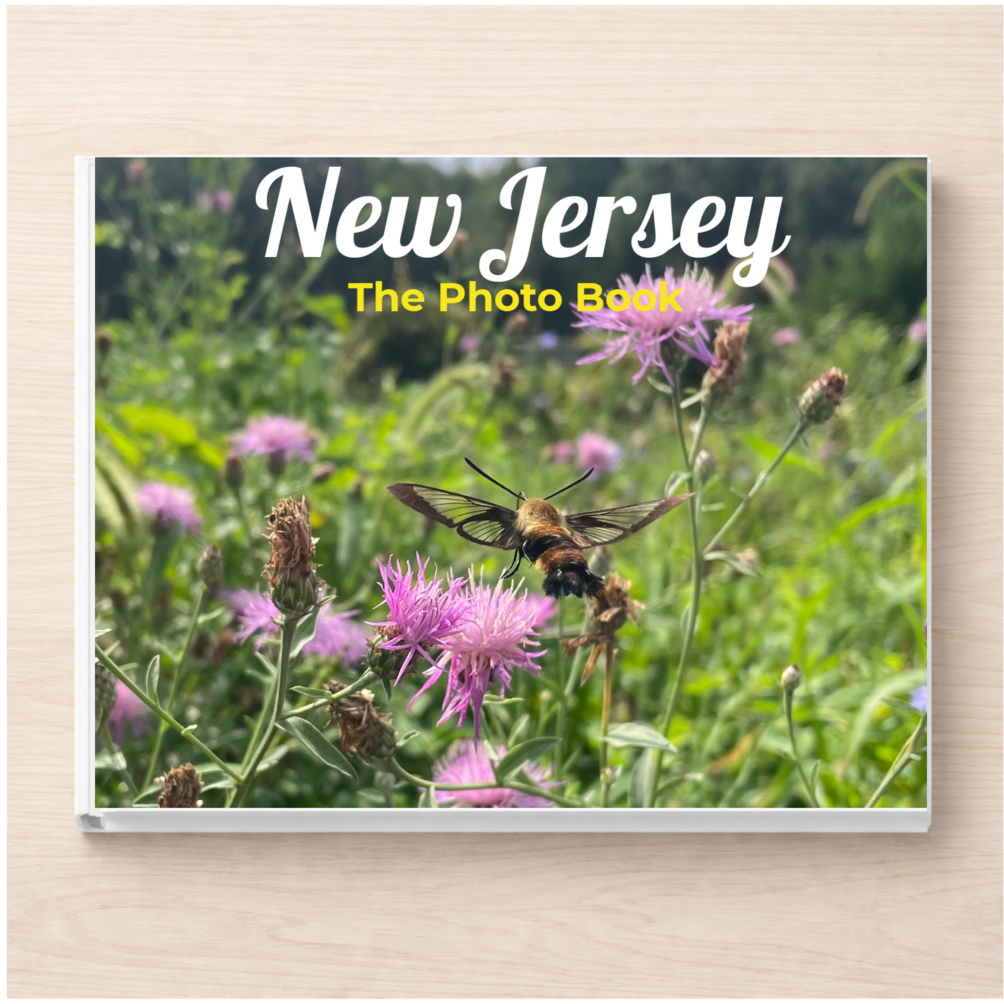 New Jersey: The Photo Book
