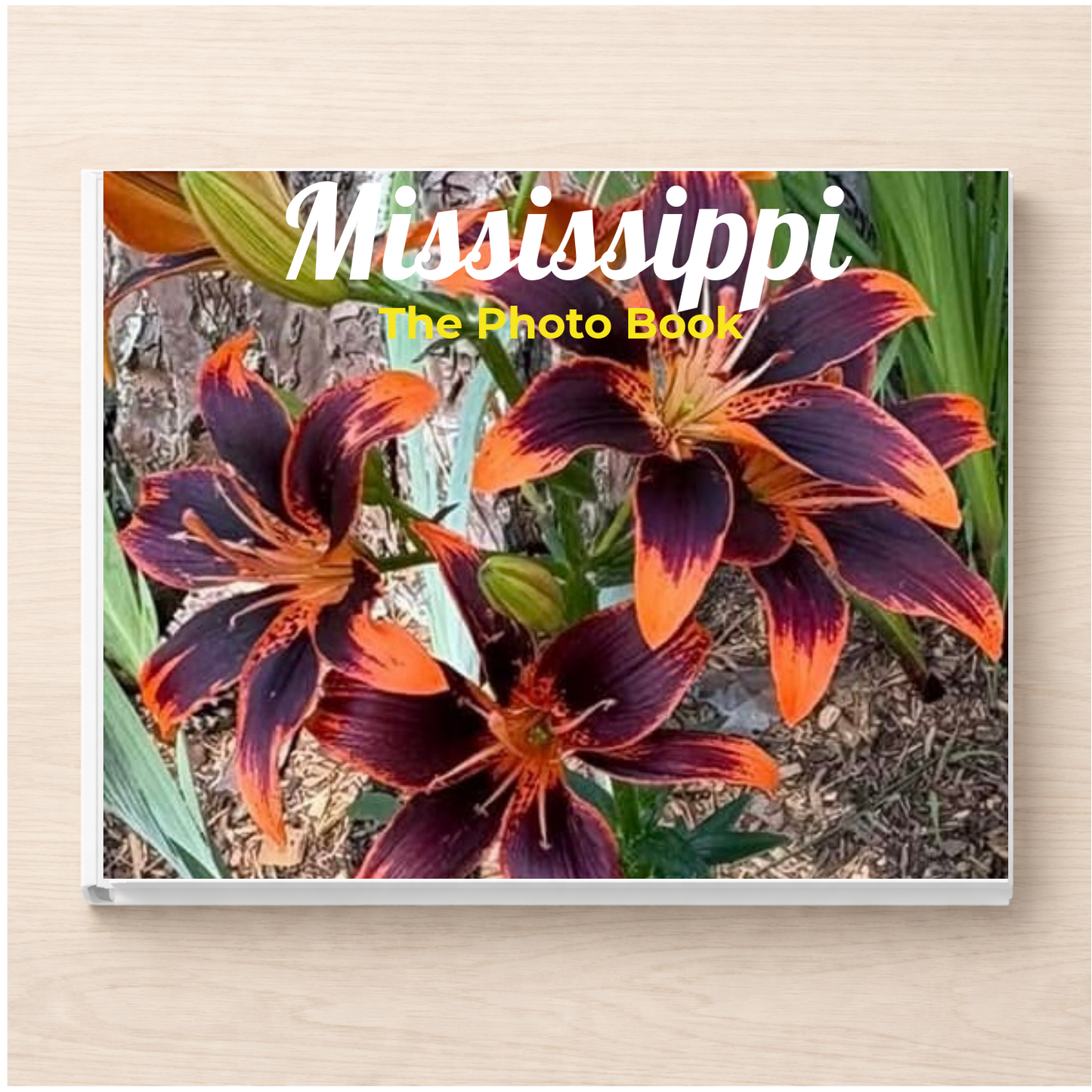Mississippi: The Photo Book