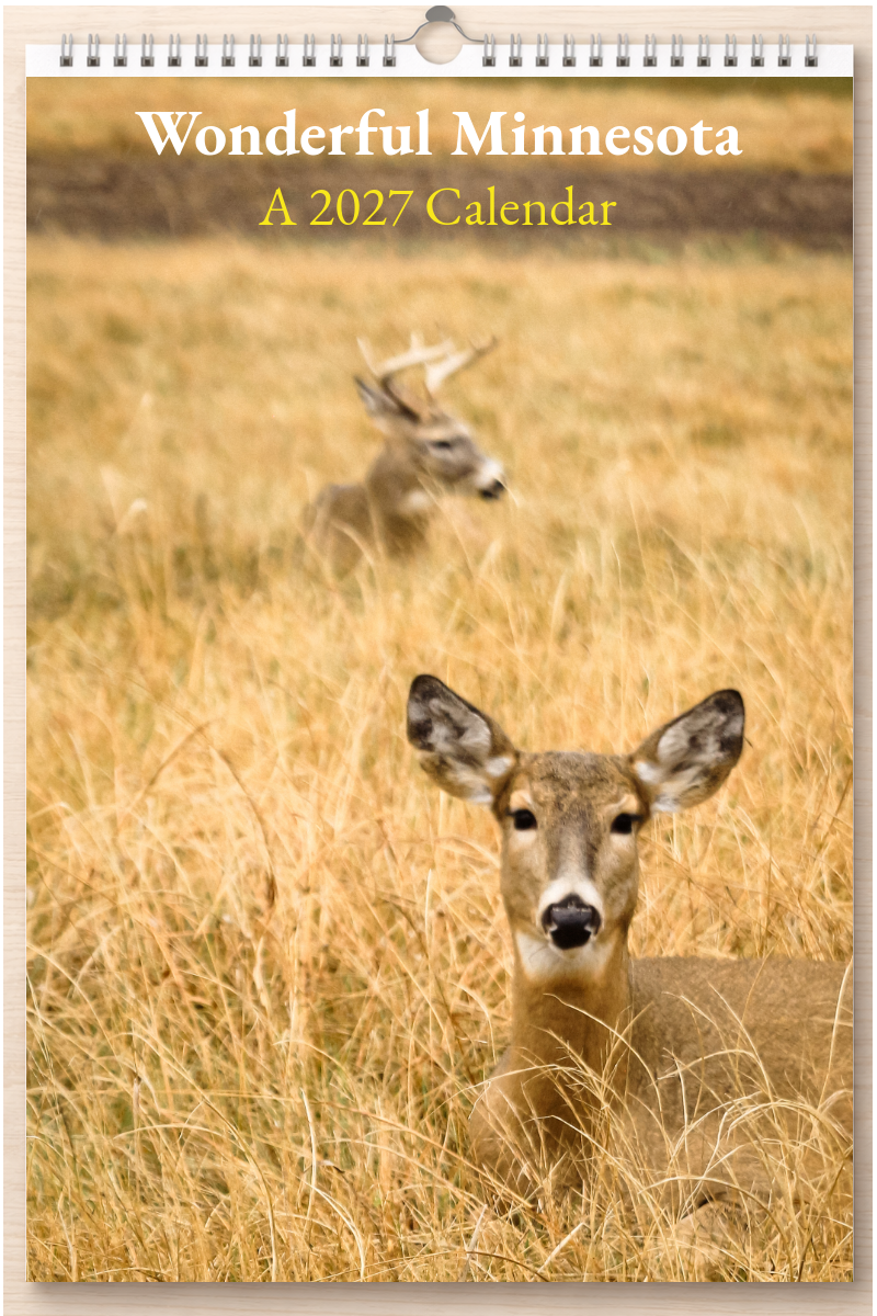 Wonderful Minnesota: A 2027 Calendar