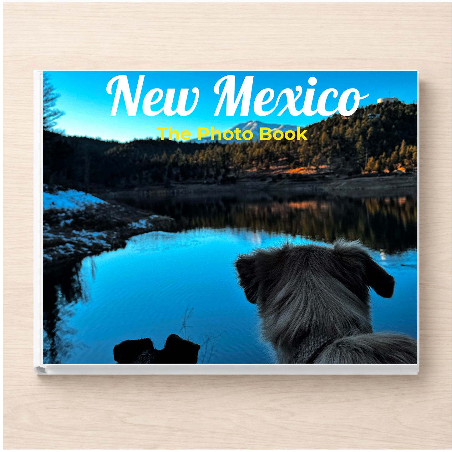 New Mexico: The Photo Book