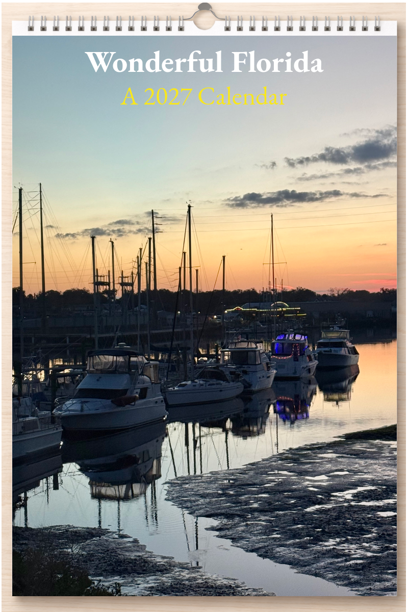 Wonderful Florida: A 2027 Calendar