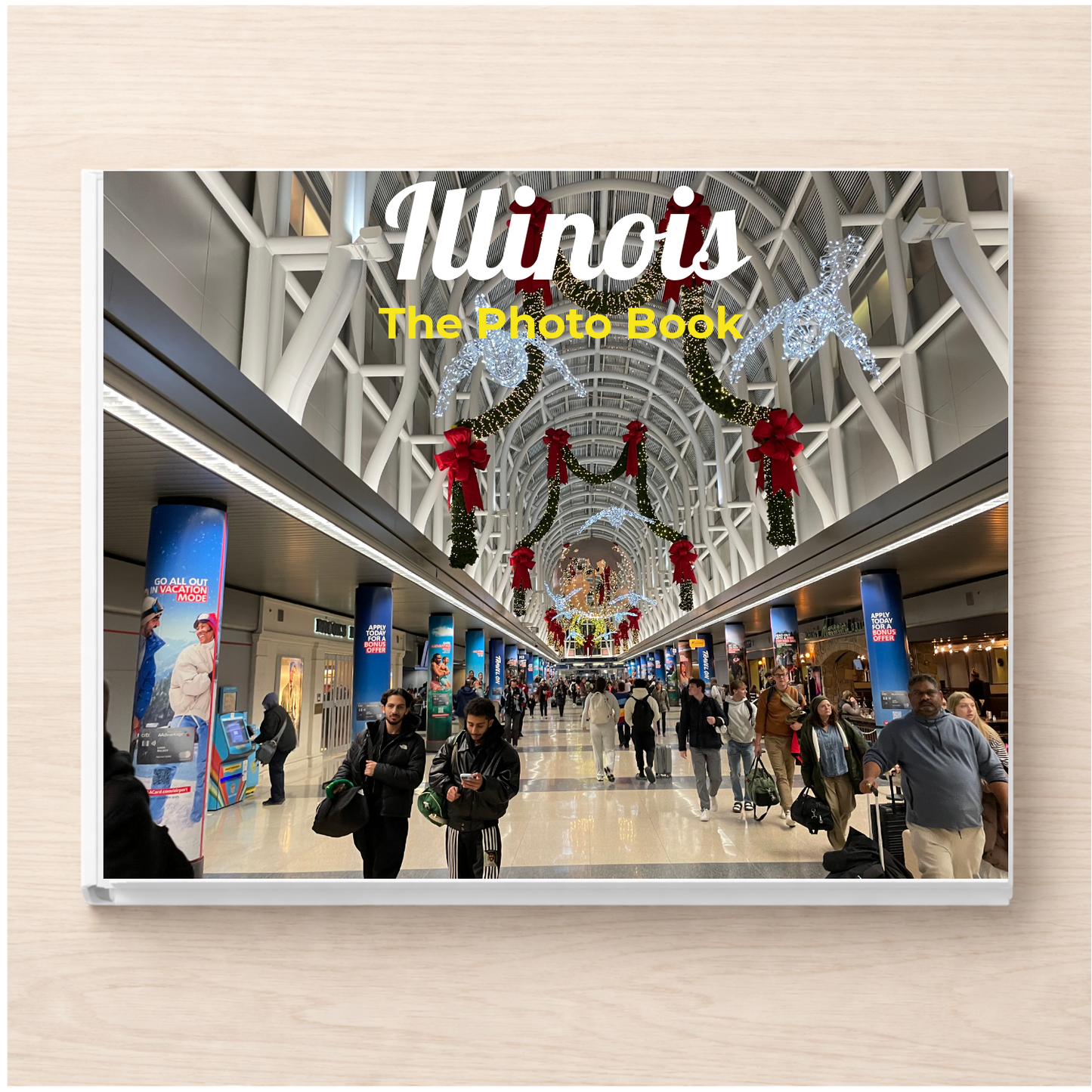Illinois: The Photo Book