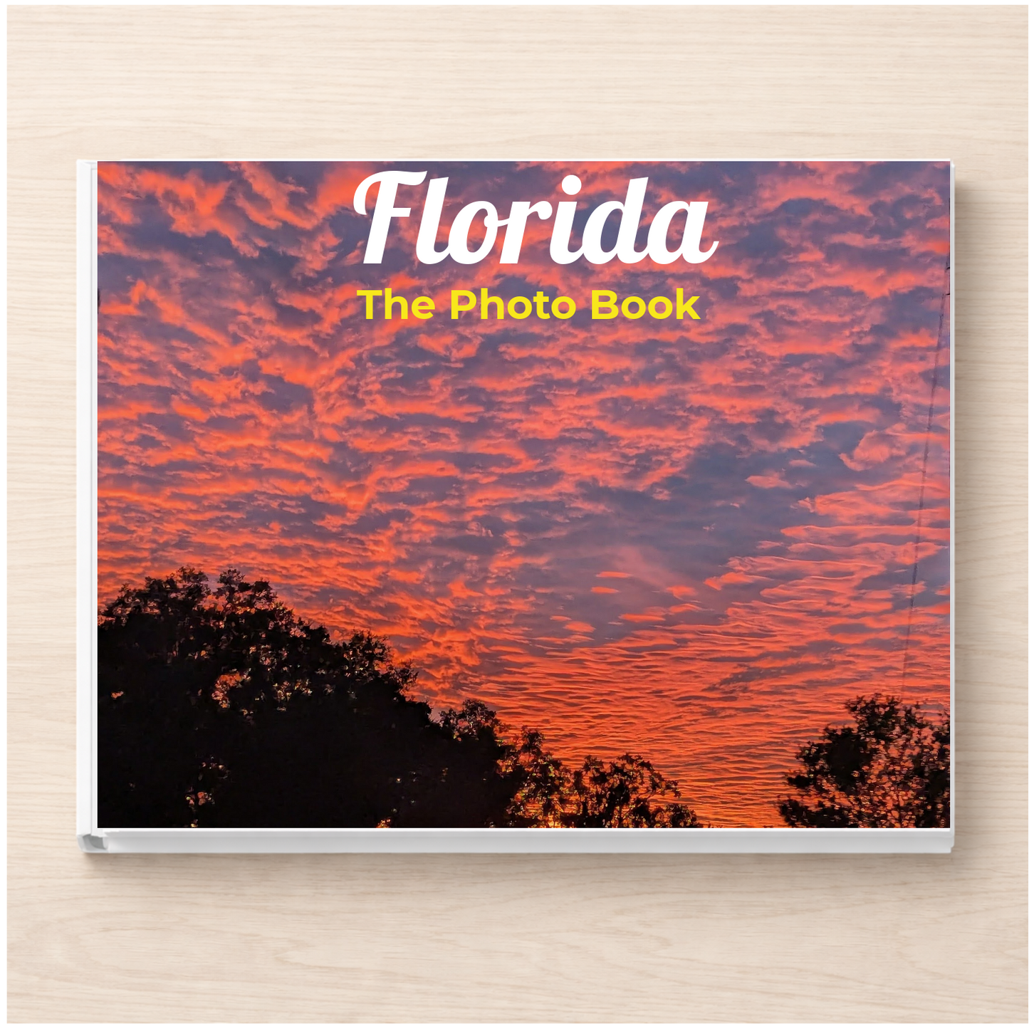 Florida: The Photo Book