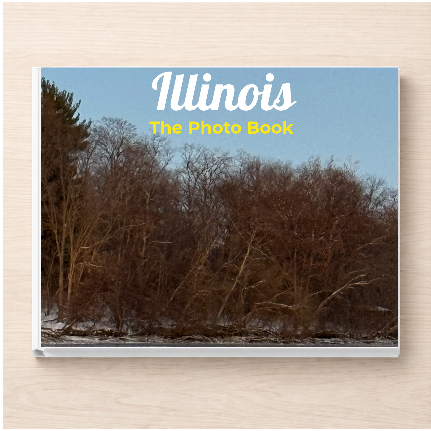 Illinois: The Photo Book