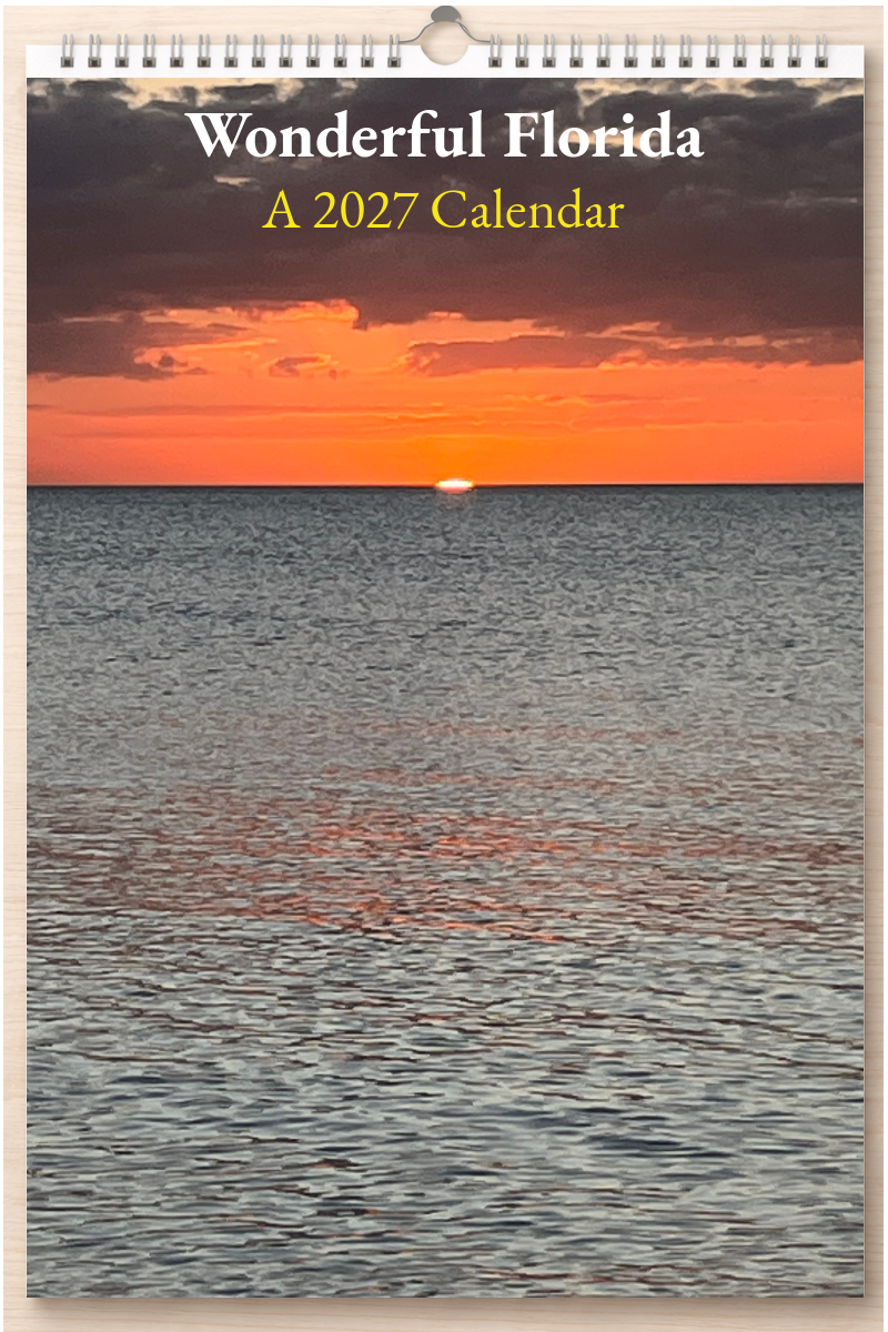 Wonderful Florida: A 2027 Calendar