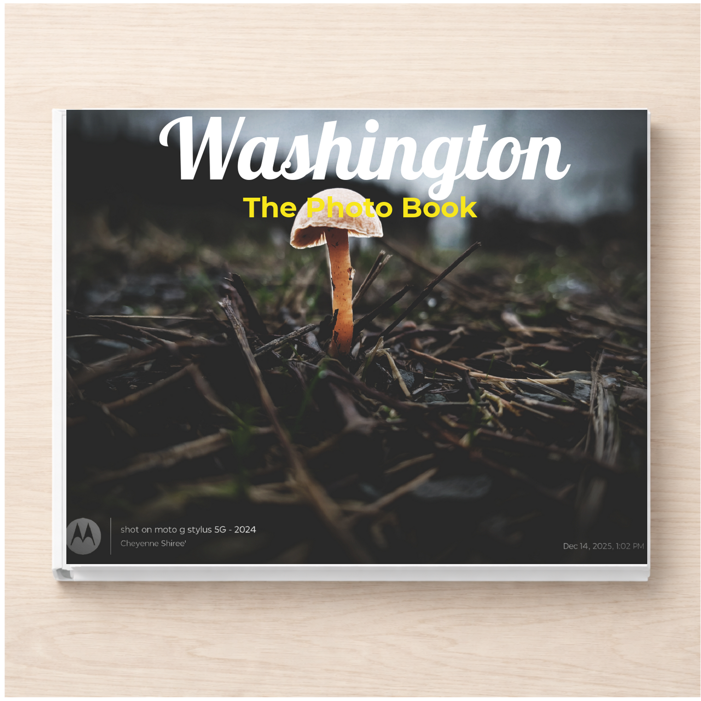 Washington: The Photo Book