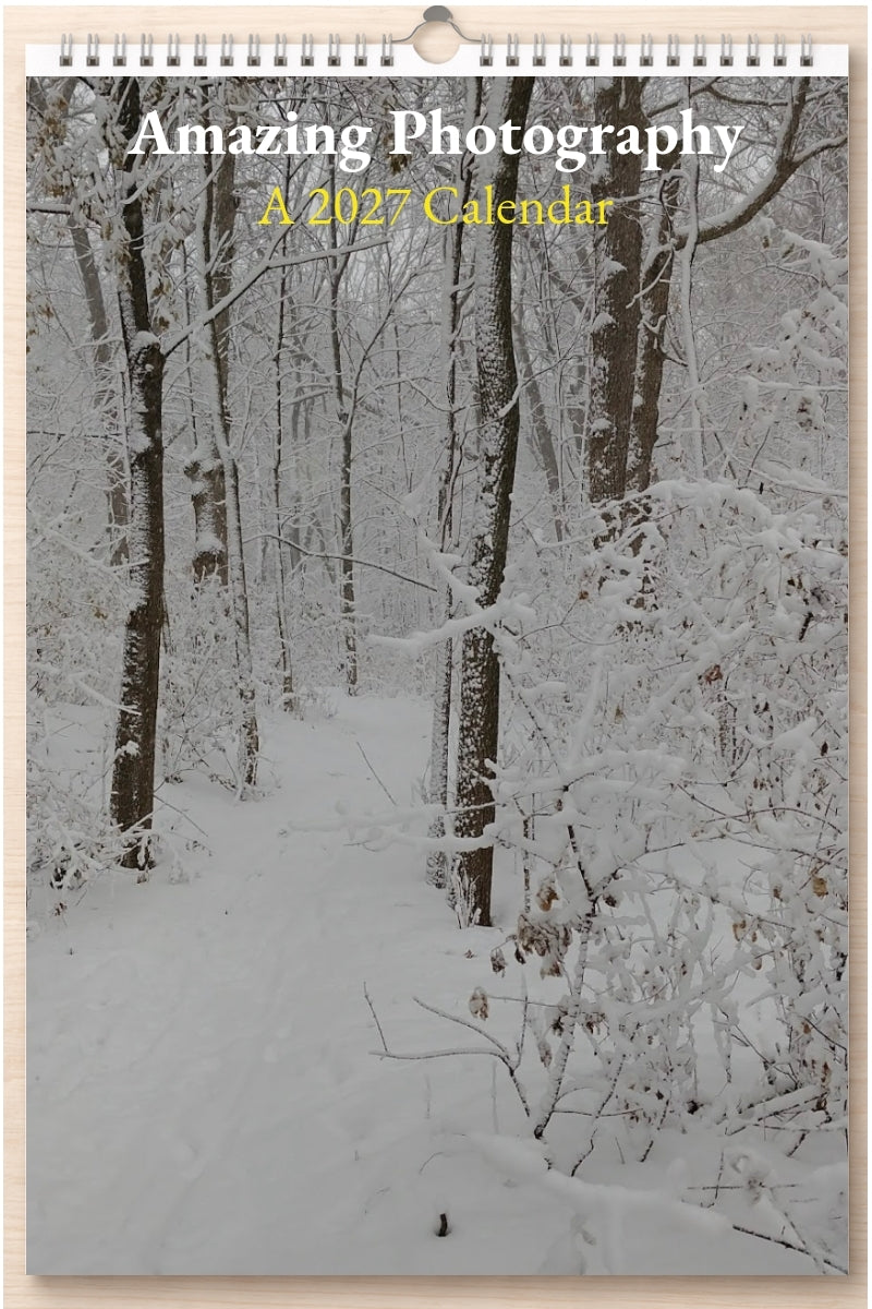 Amazing Photography: A 2027 Calendar