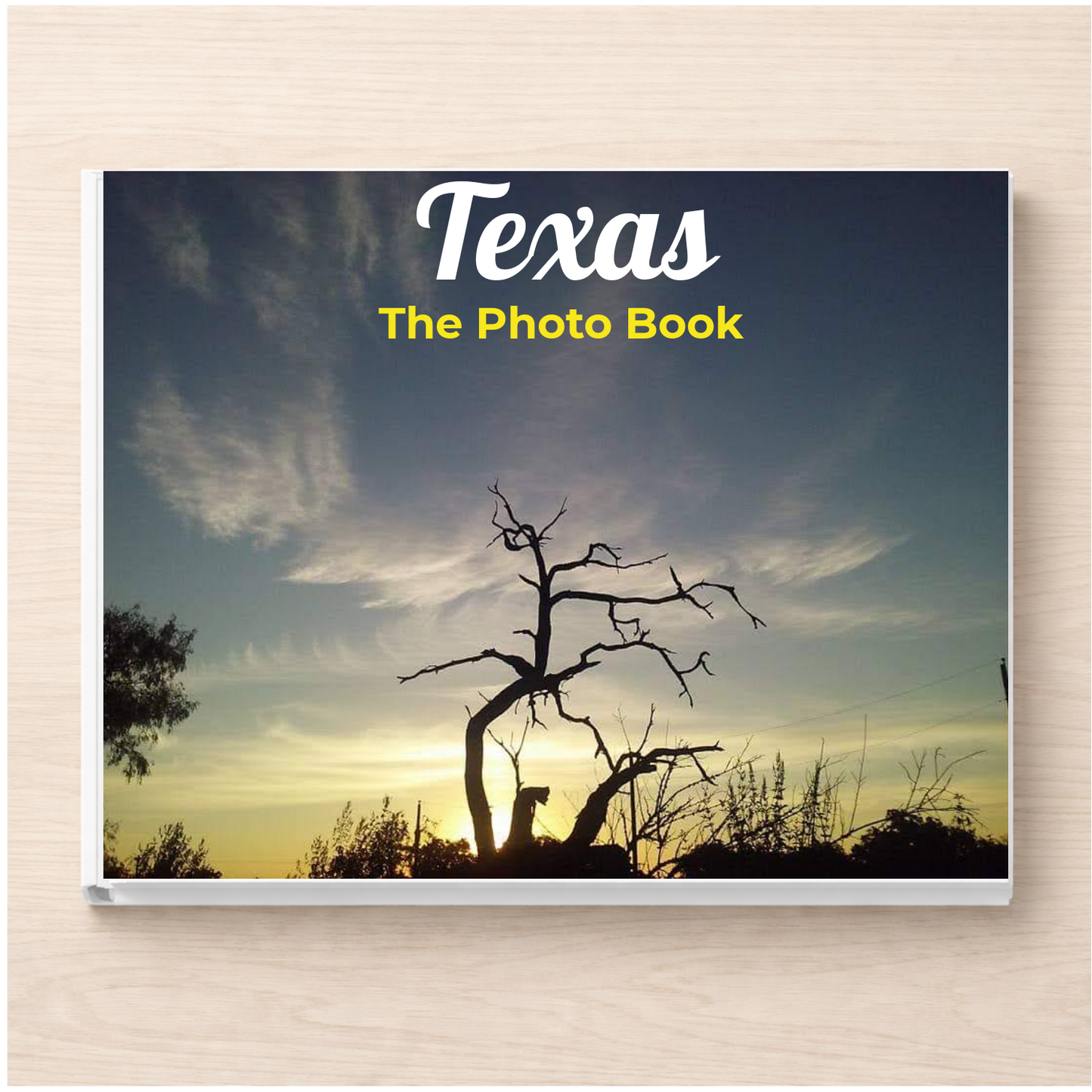Texas: The Photo Book