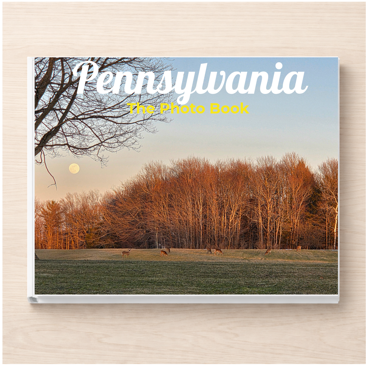 Pennsylvania: The Photo Book
