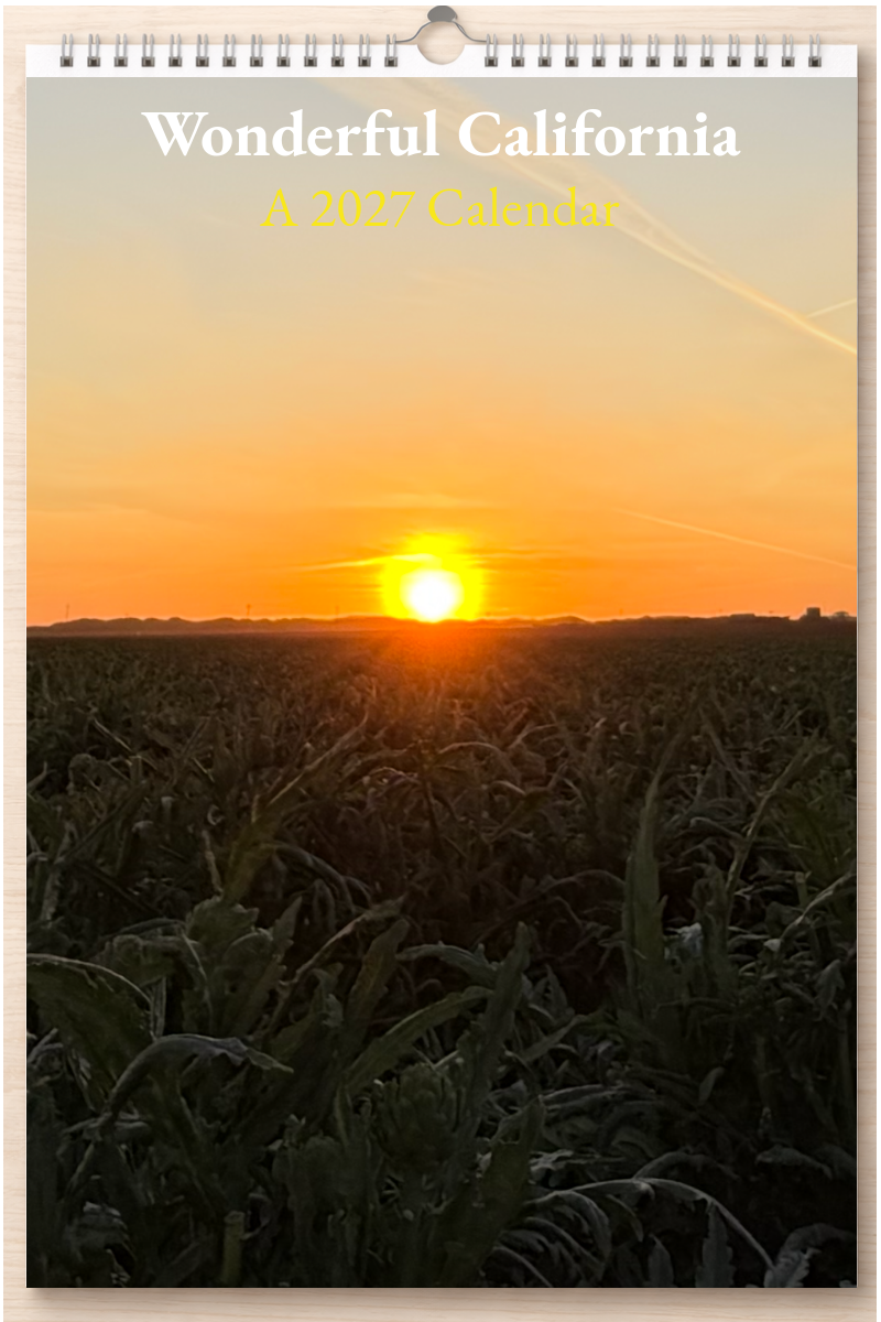 Wonderful California: A 2027 Calendar