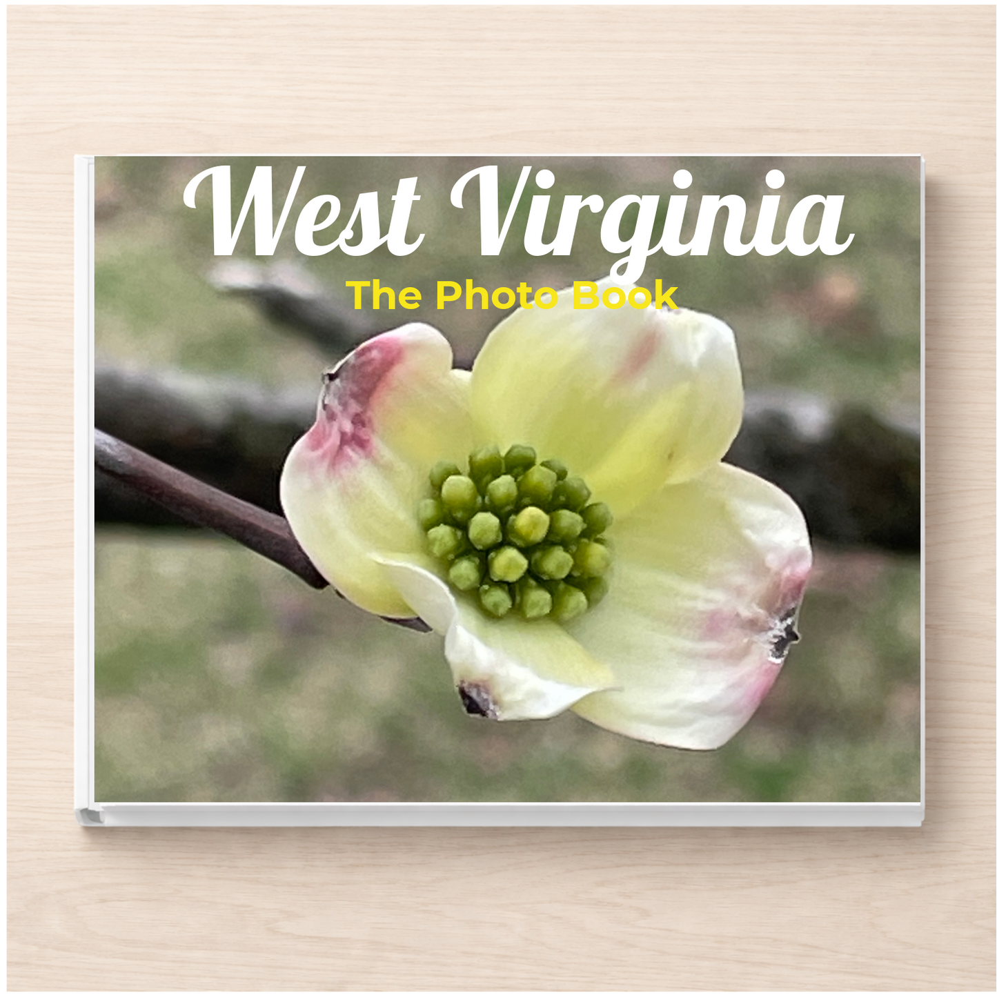 West Virginia: The Photo Book