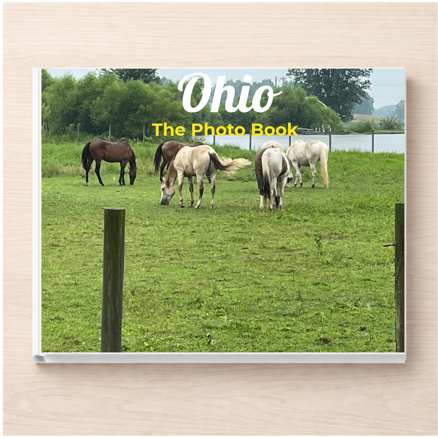 Ohio: The Photo Book