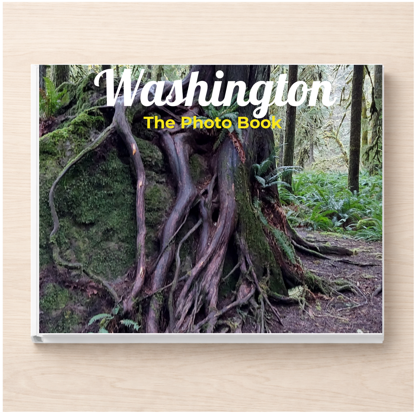 Washington: The Photo Book