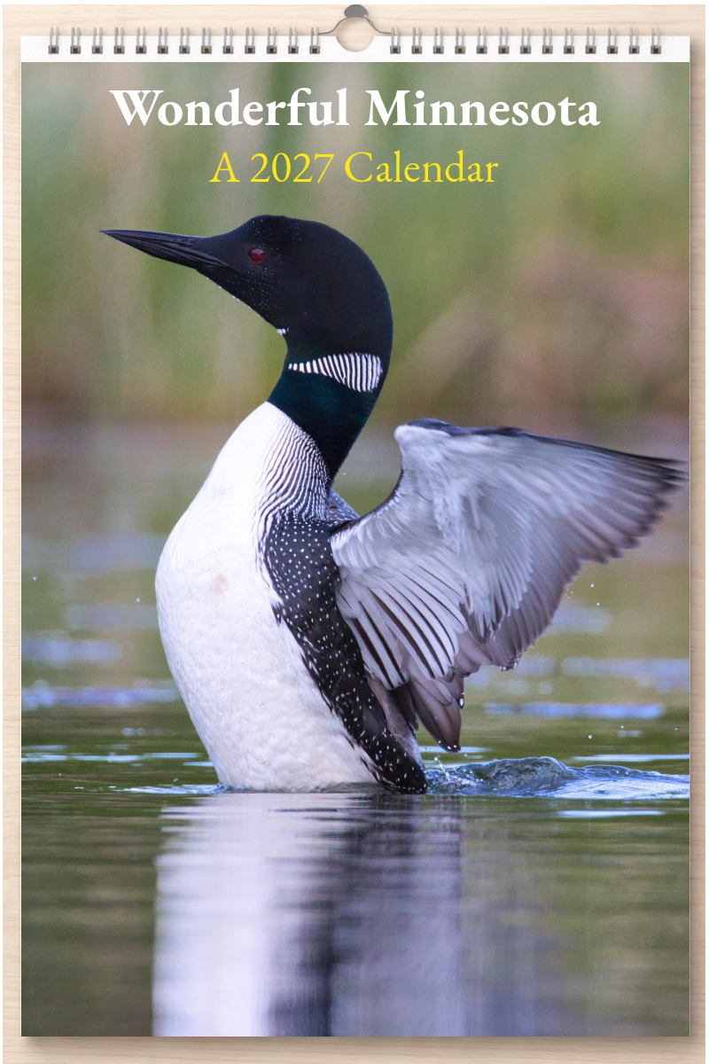Wonderful Minnesota: A 2027 Calendar
