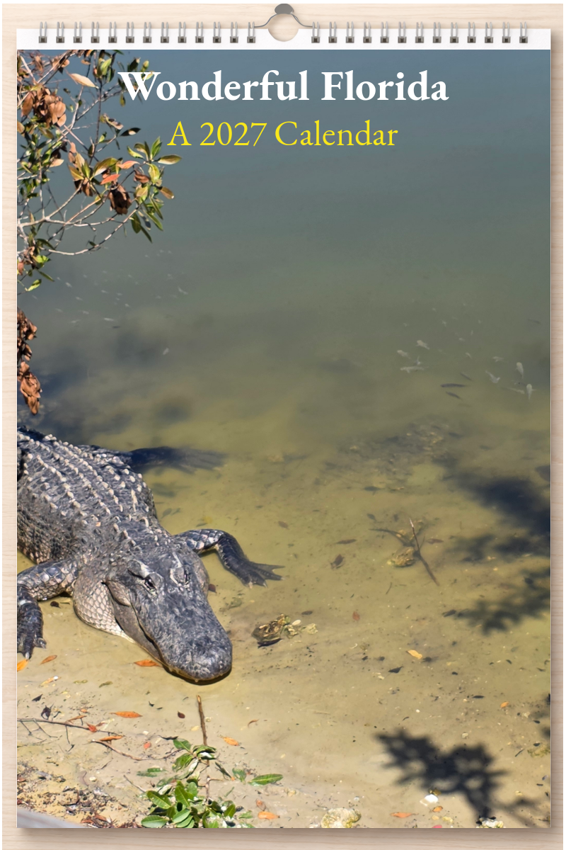 Wonderful Florida: A 2027 Calendar