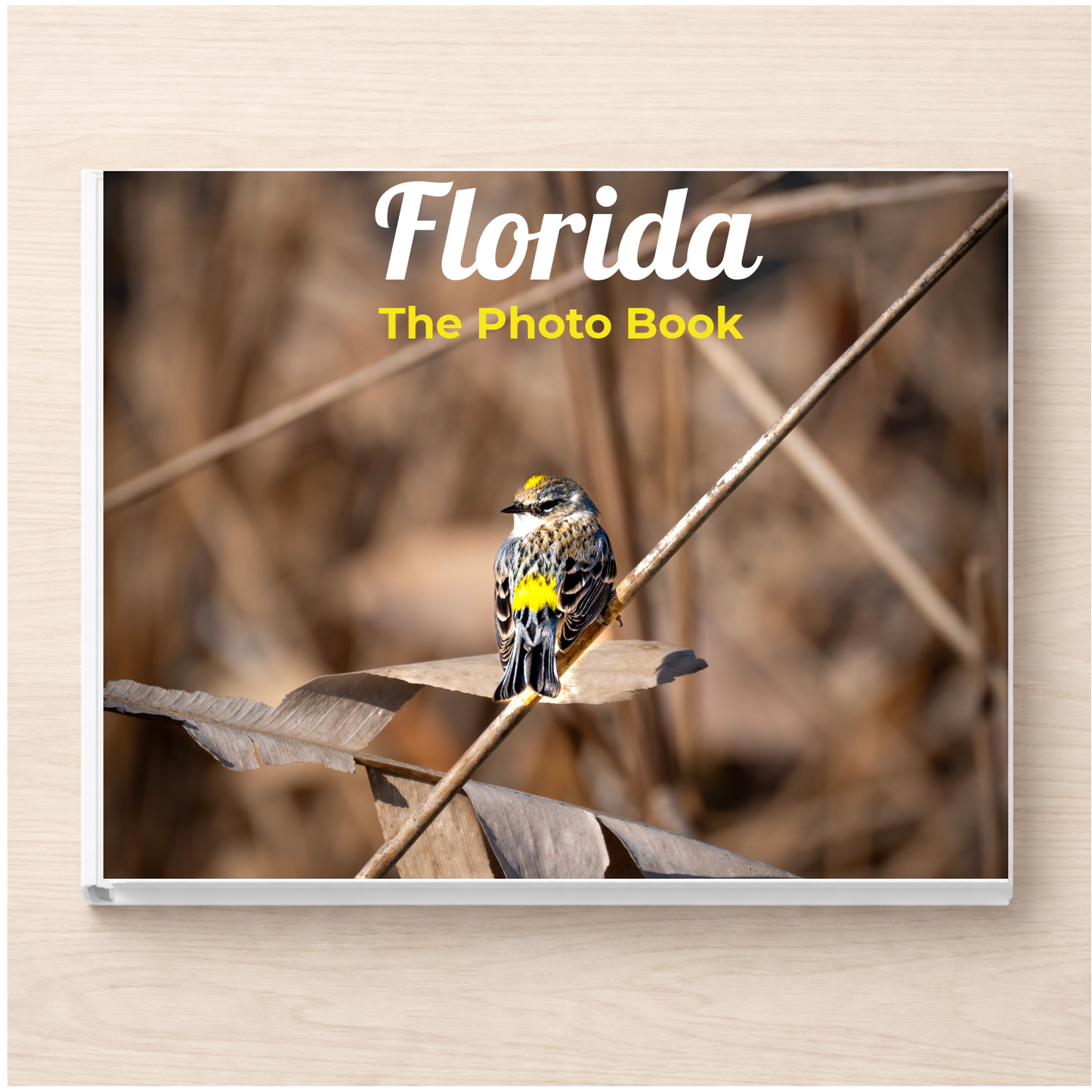 Florida: The Photo Book