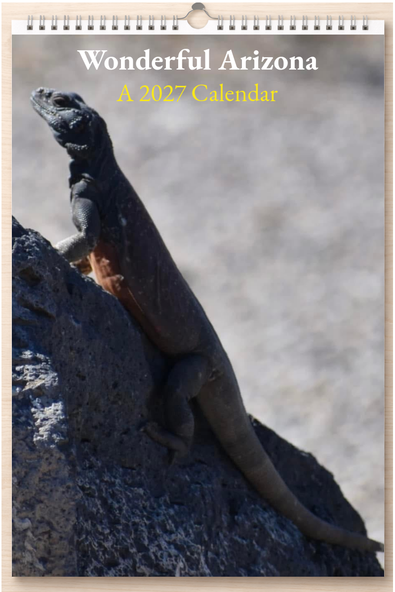 Wonderful Arizona: A 2027 Calendar