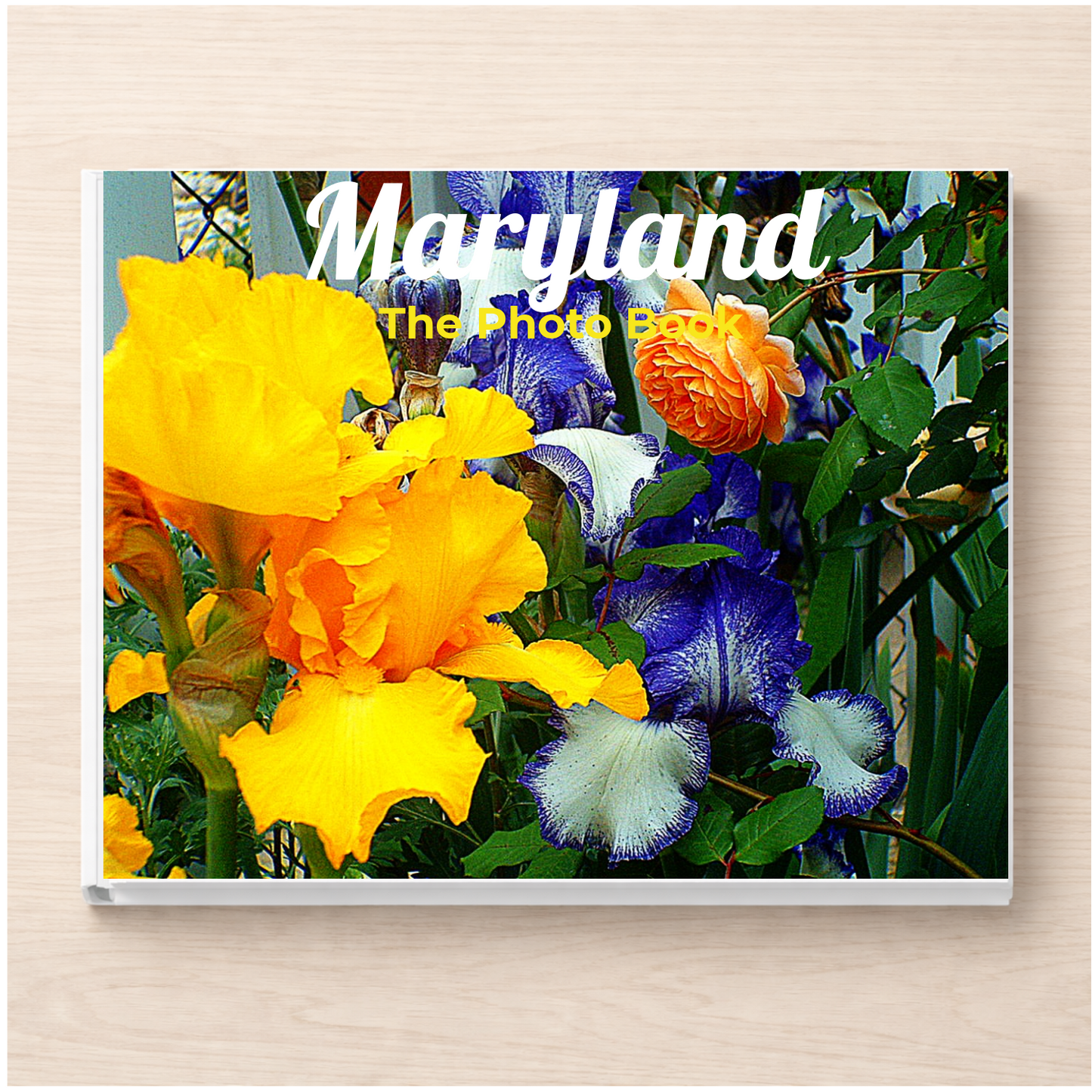 Maryland: The Photo Book