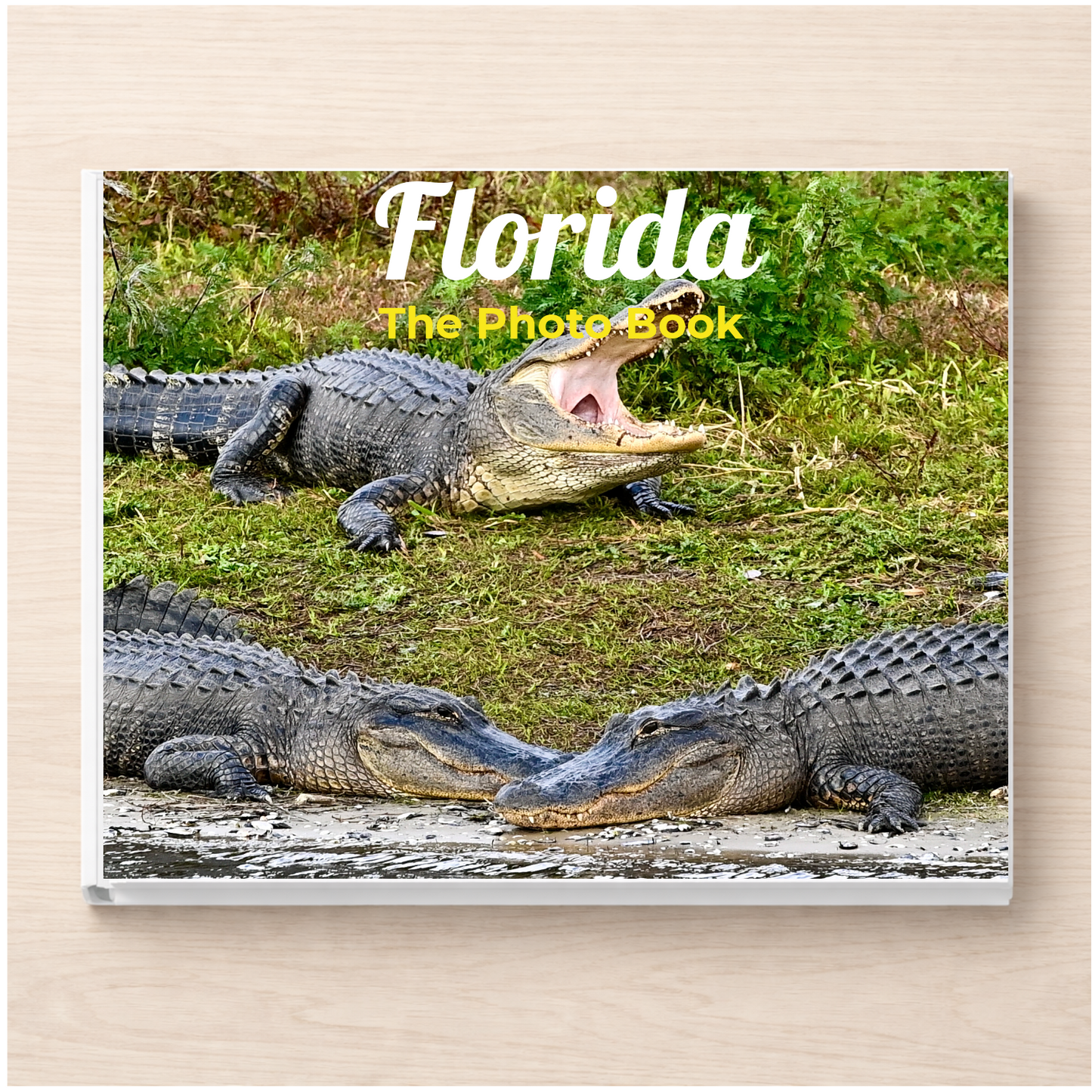 Florida: The Photo Book