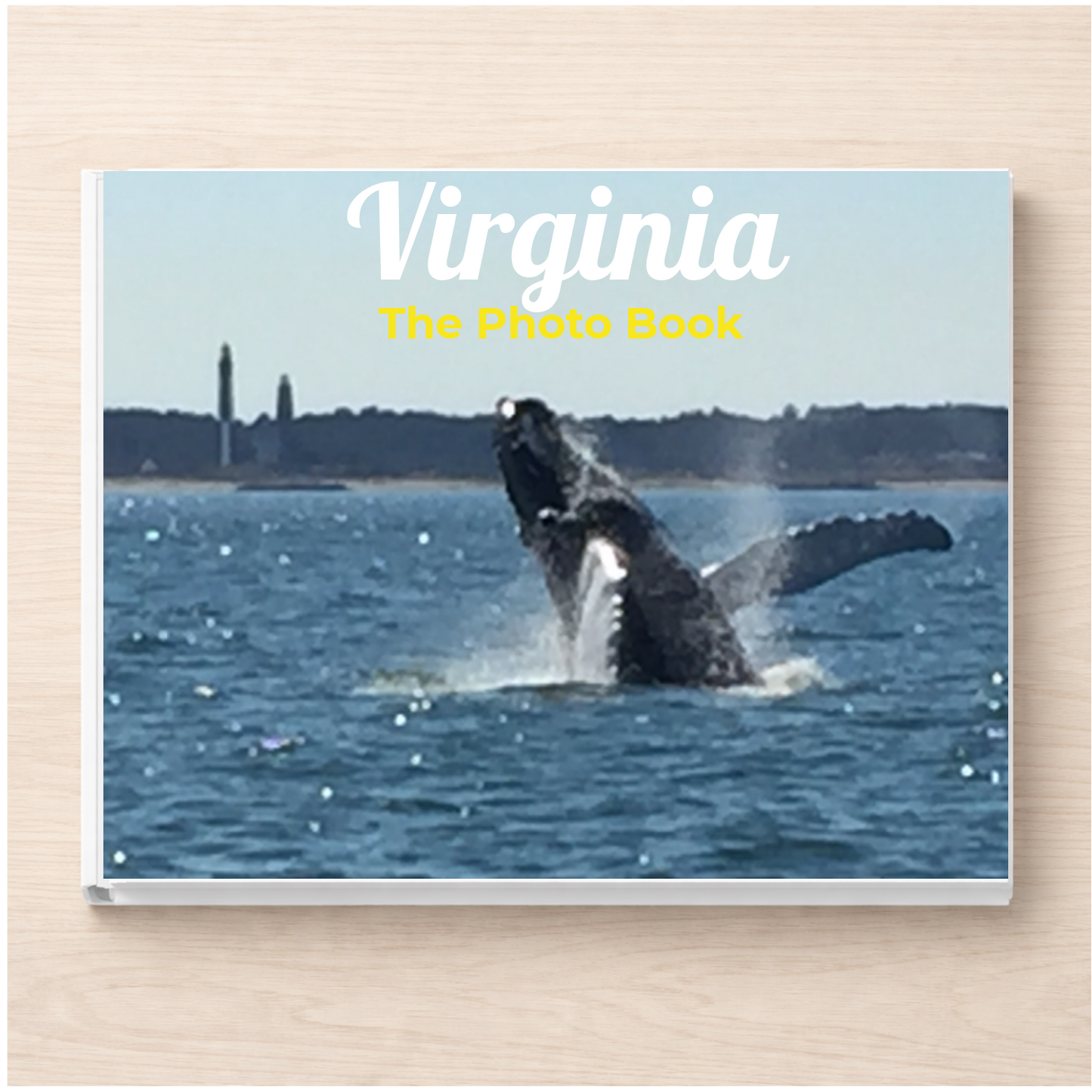 Virginia: The Photo Book