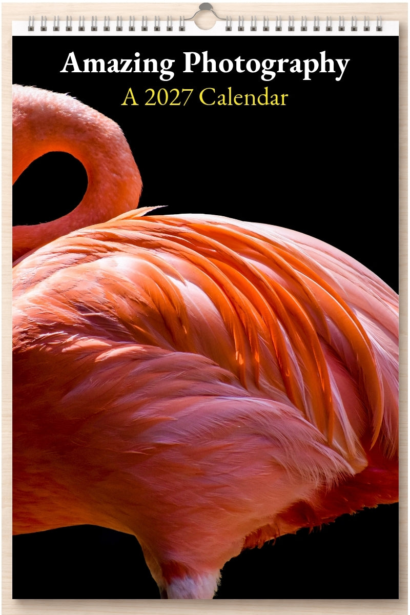 Amazing Photography: A 2027 Calendar