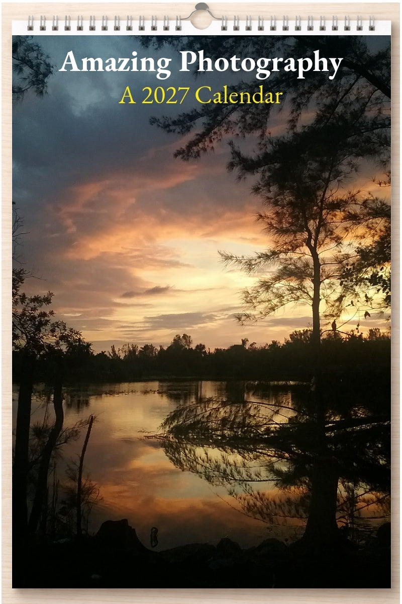 Amazing Photography: A 2027 Calendar